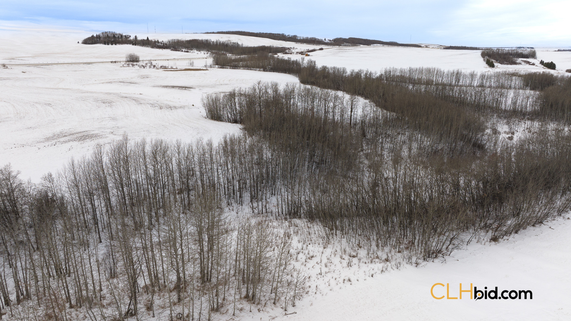 EliteStatus3-Web169-5