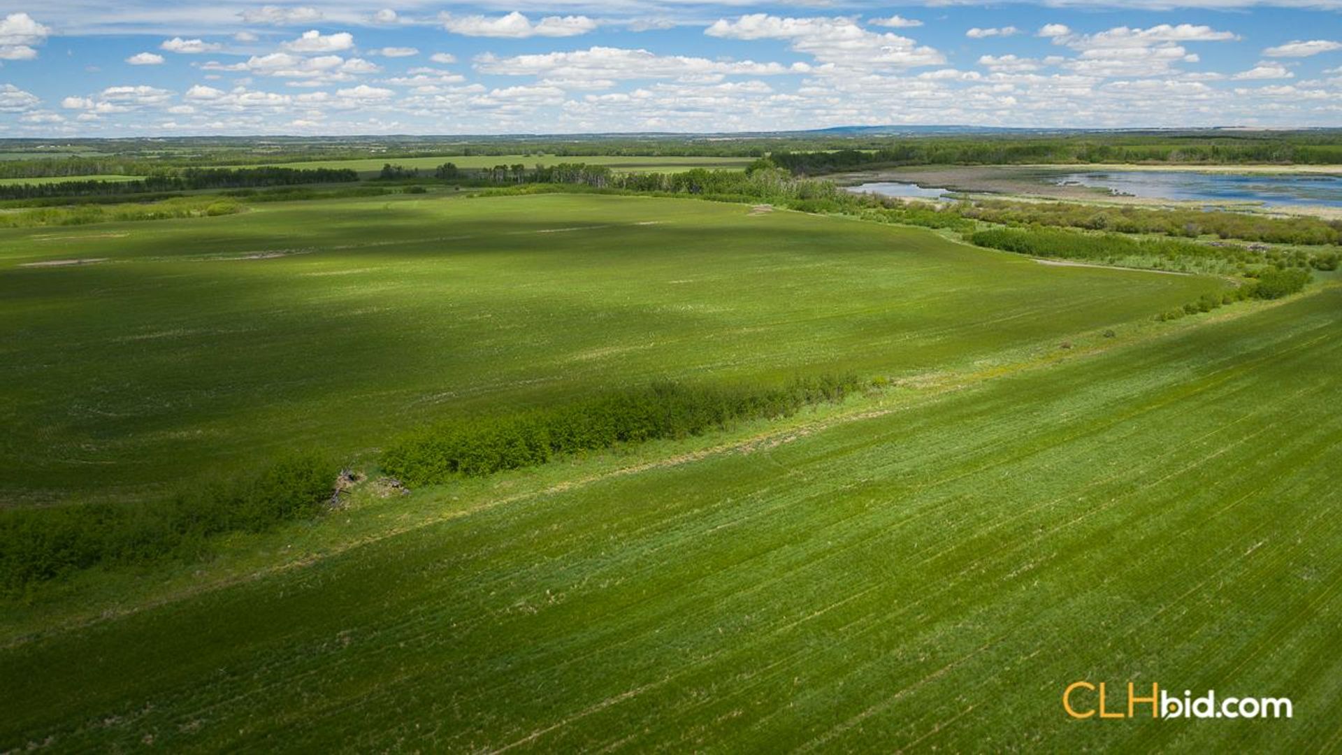 bigskymountainview-7-5