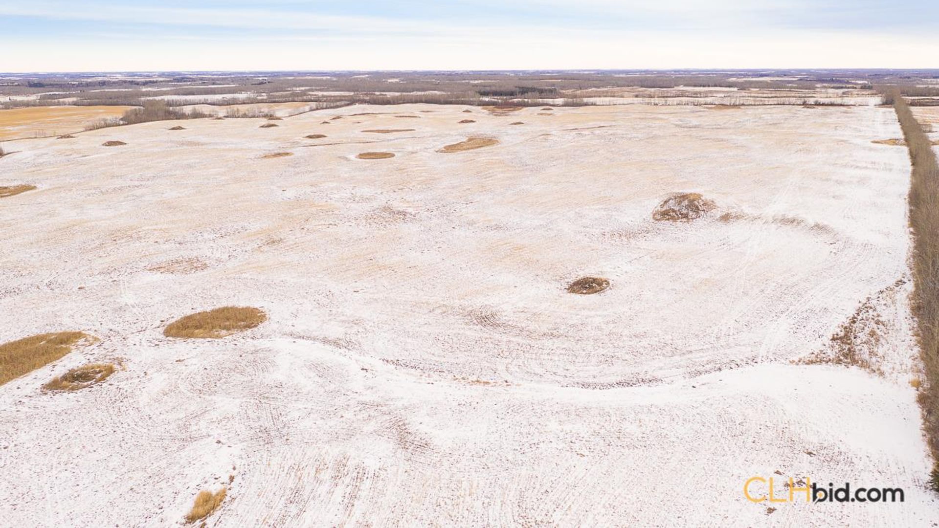 barrheadbigoptions-1-7