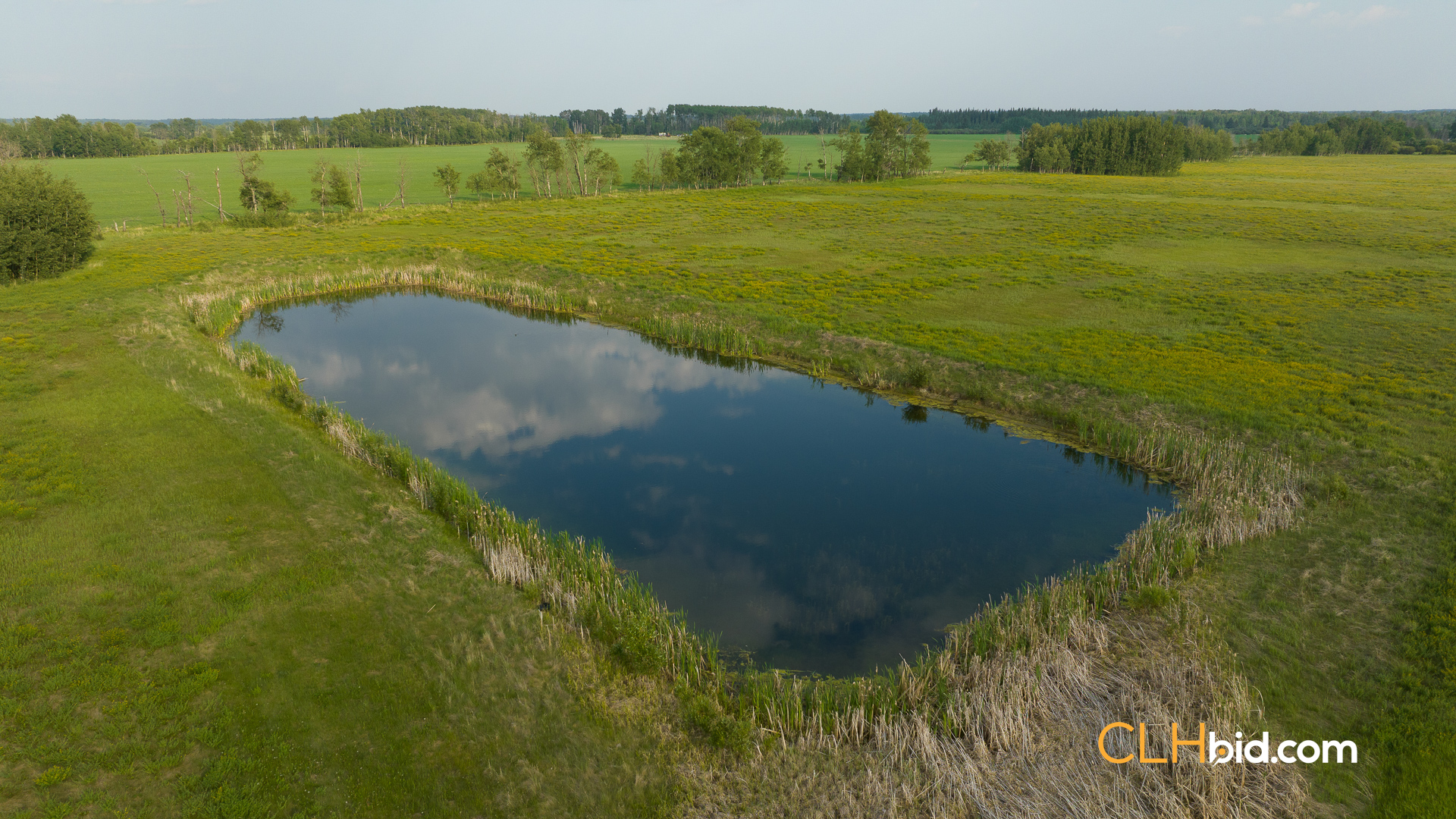 Web-WhitelawRoots-18