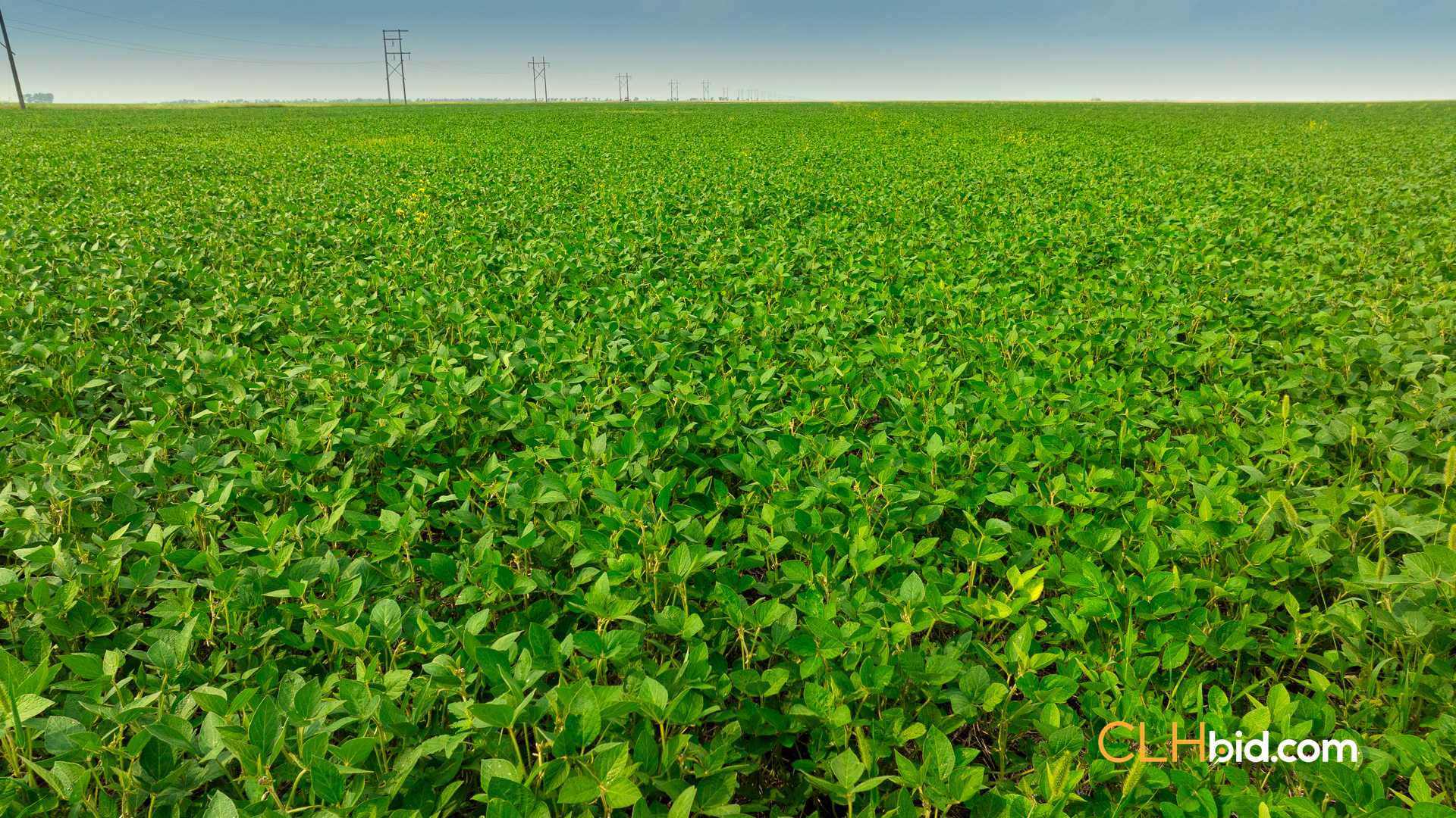 Web-Corner2Corner-11