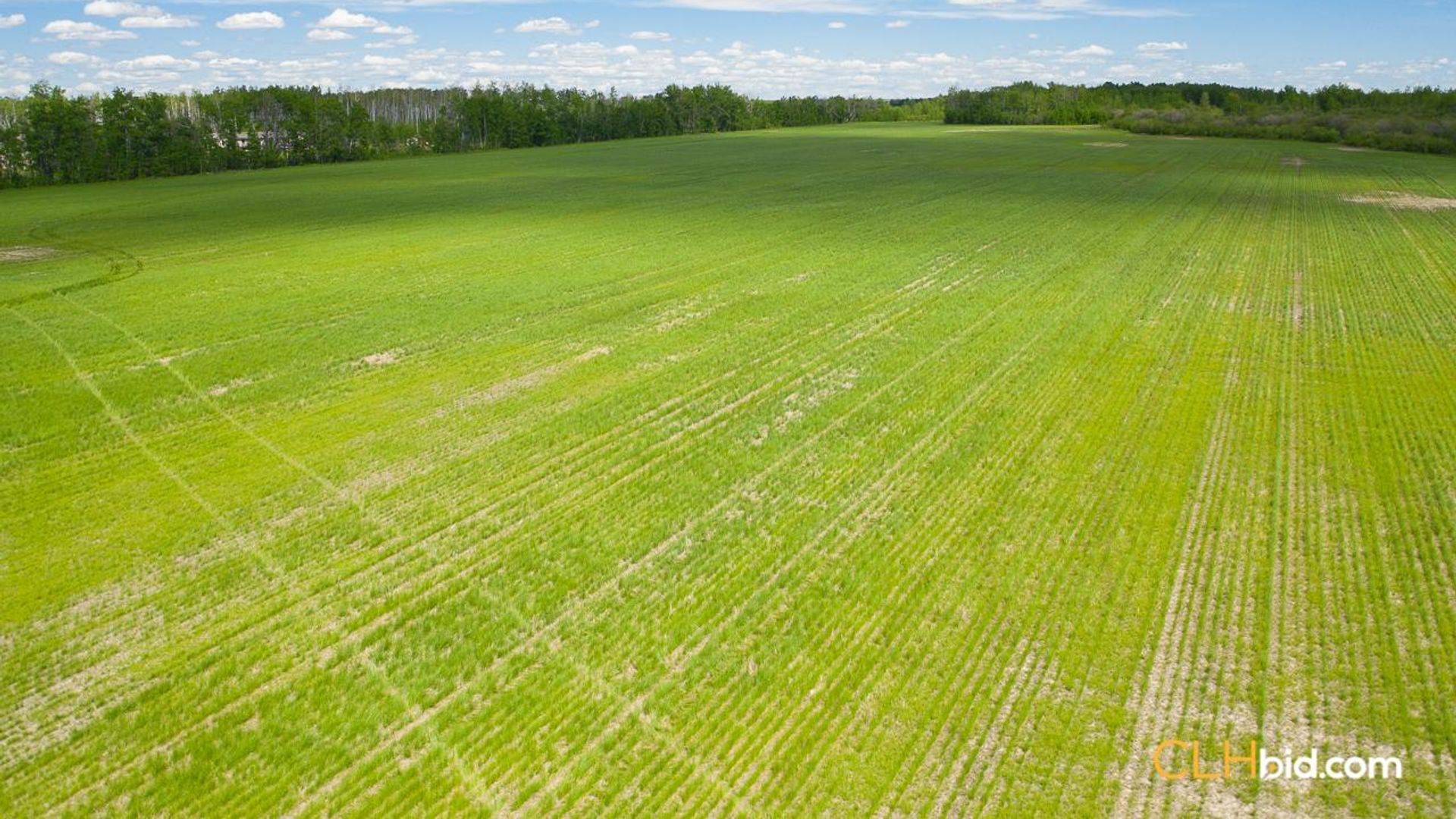 bigskymountainview-5-7