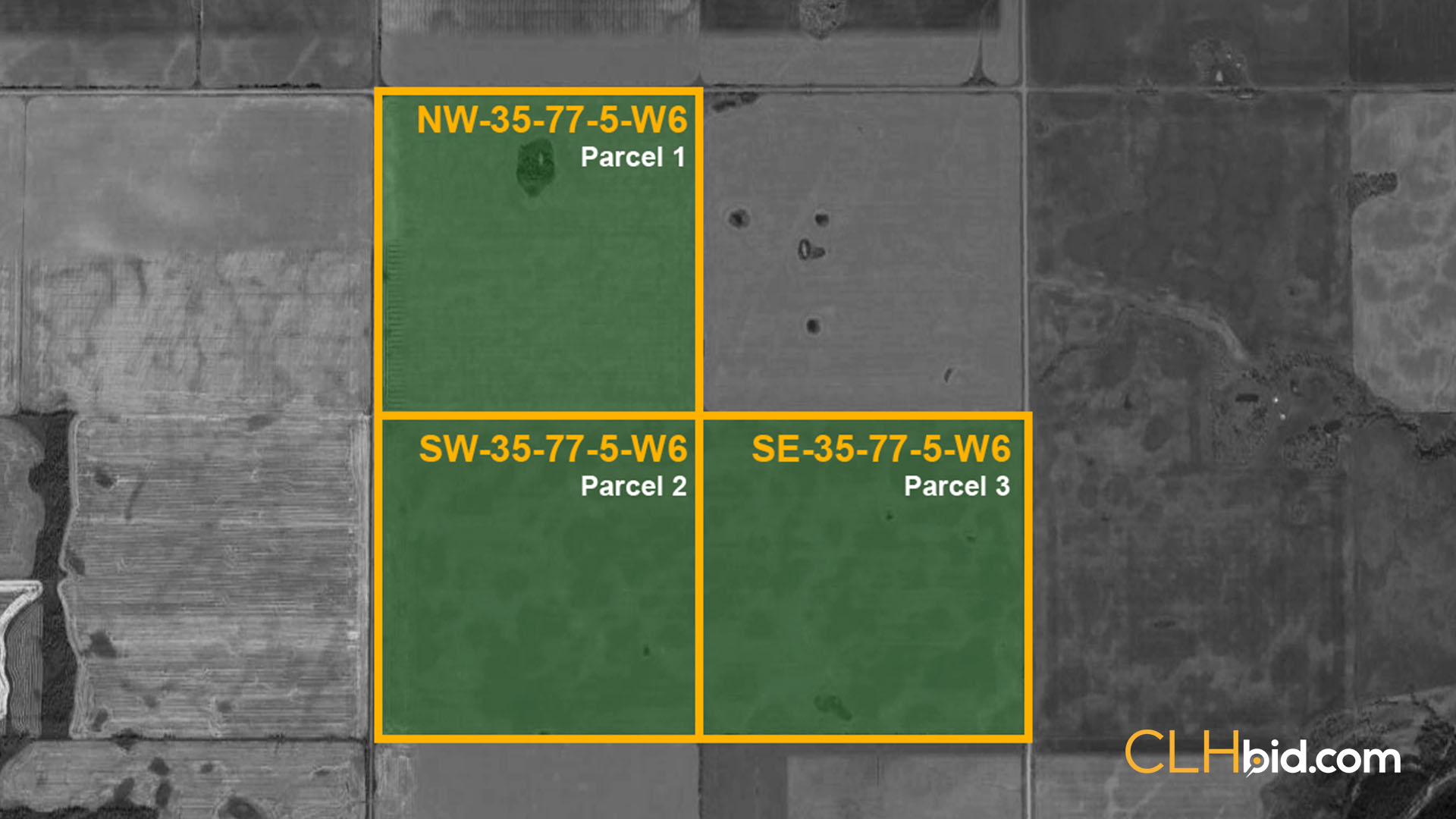V2 MARKOVICH - WIDE - Contentful