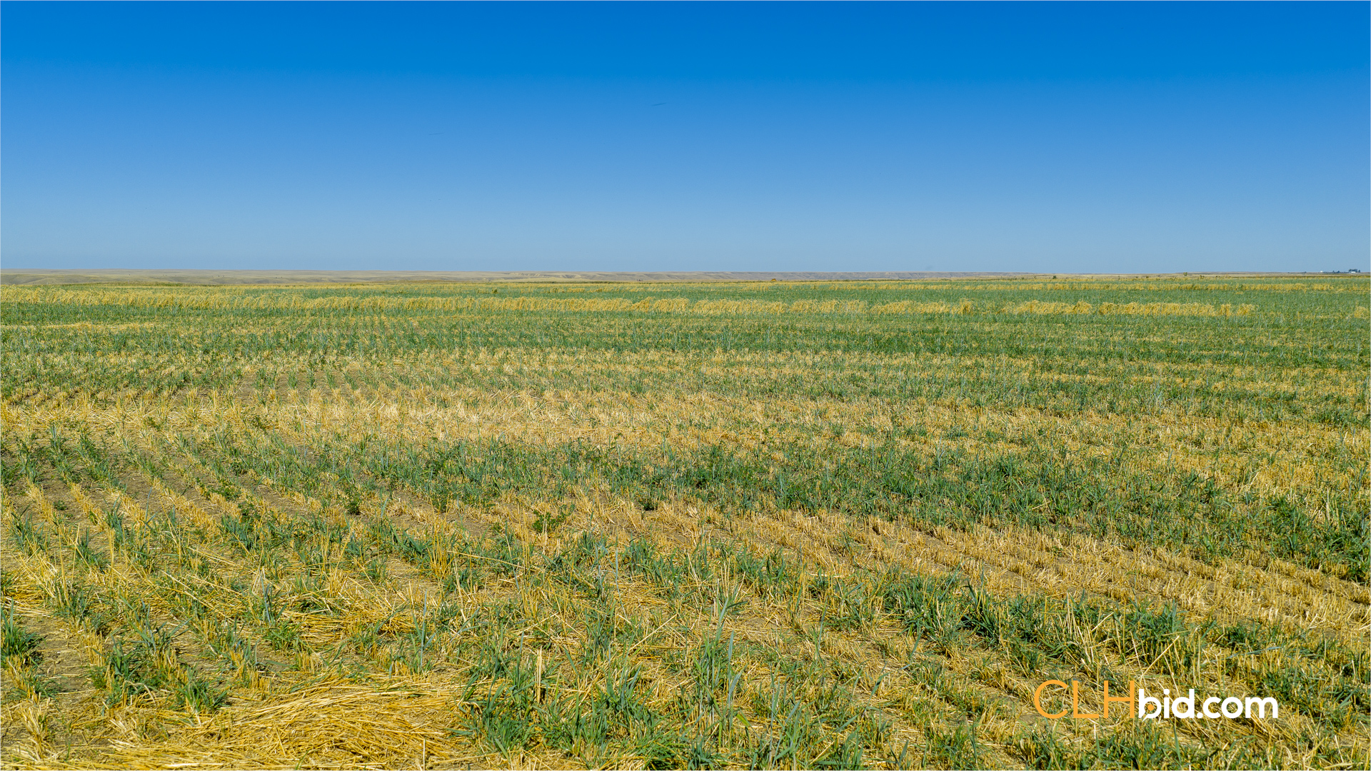 Web-MegaFortyMile-43