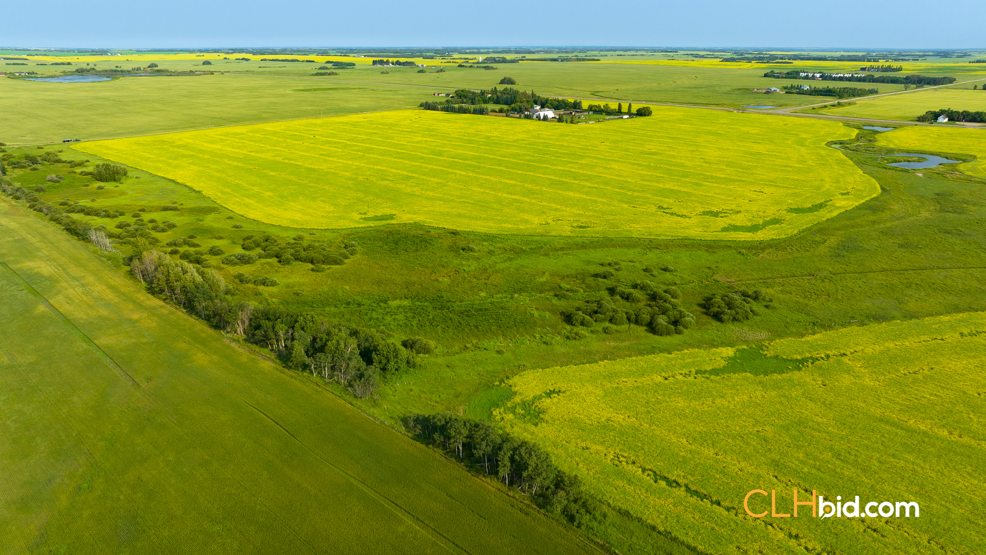 Web-CamroseDouble-11