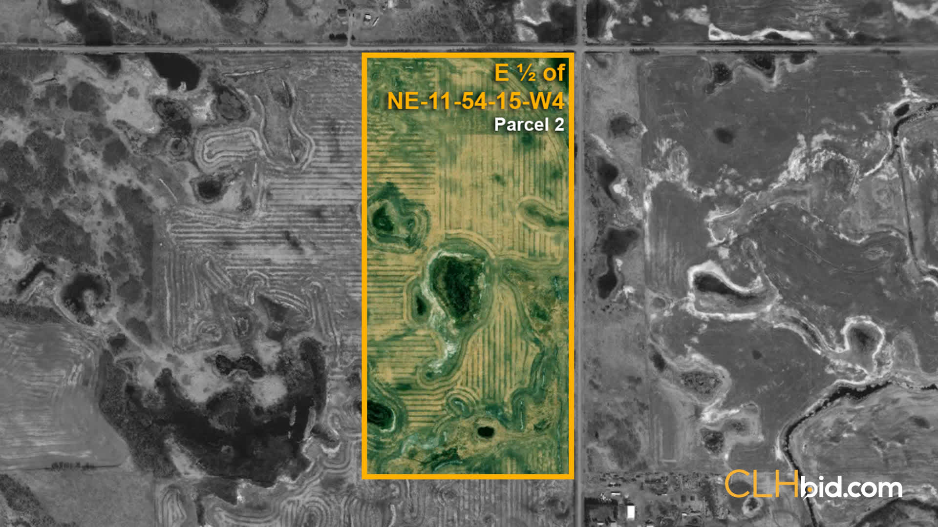 P2-Quad-Opportunity