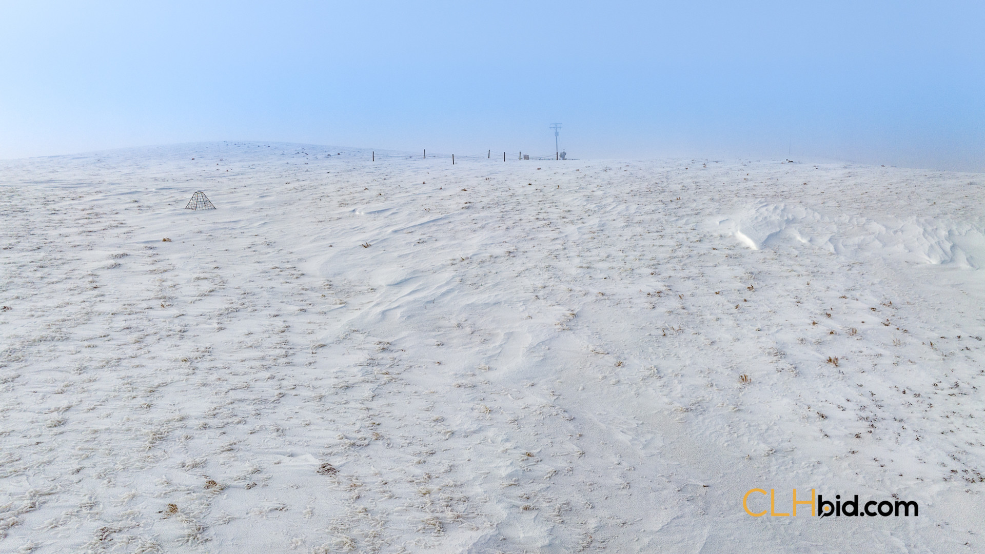 Web169-AcresOfPedigree-54