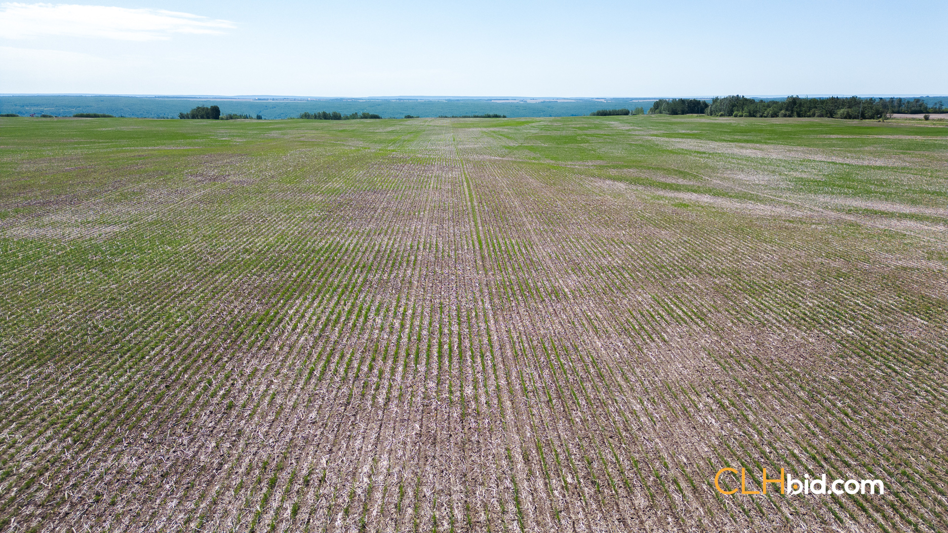 Web Dunvegan Fields-5