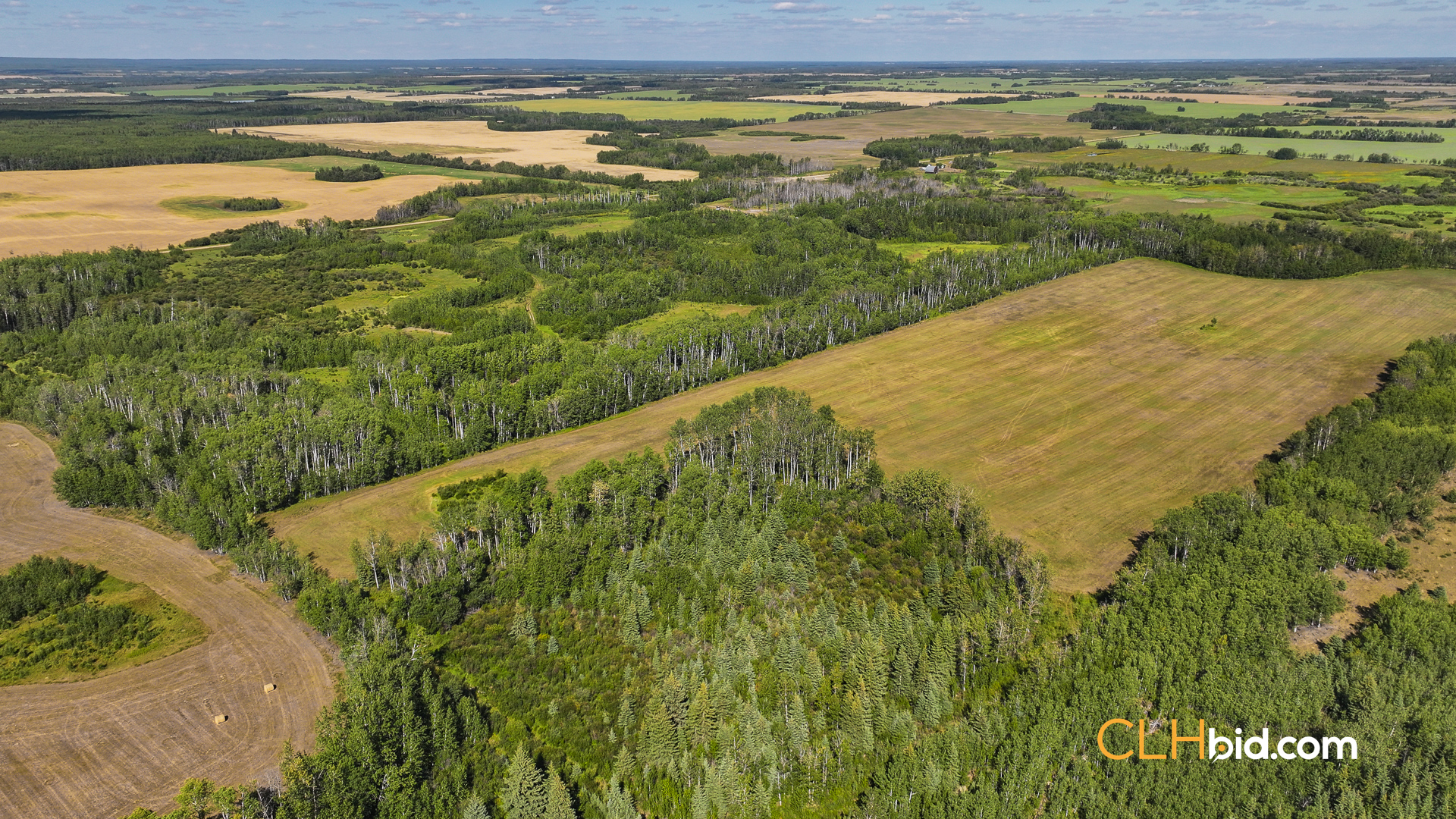 Web Talking Trees 22