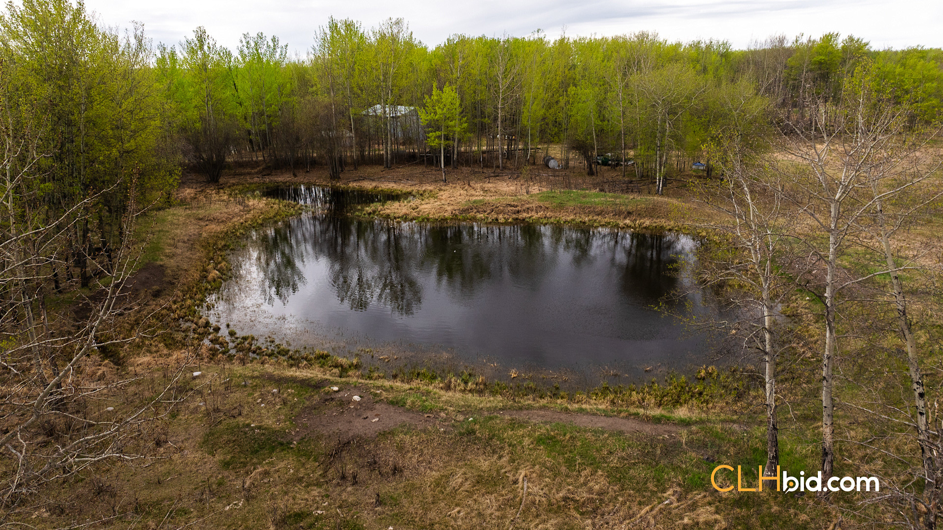 Web Deer Hill Homer Spring-12