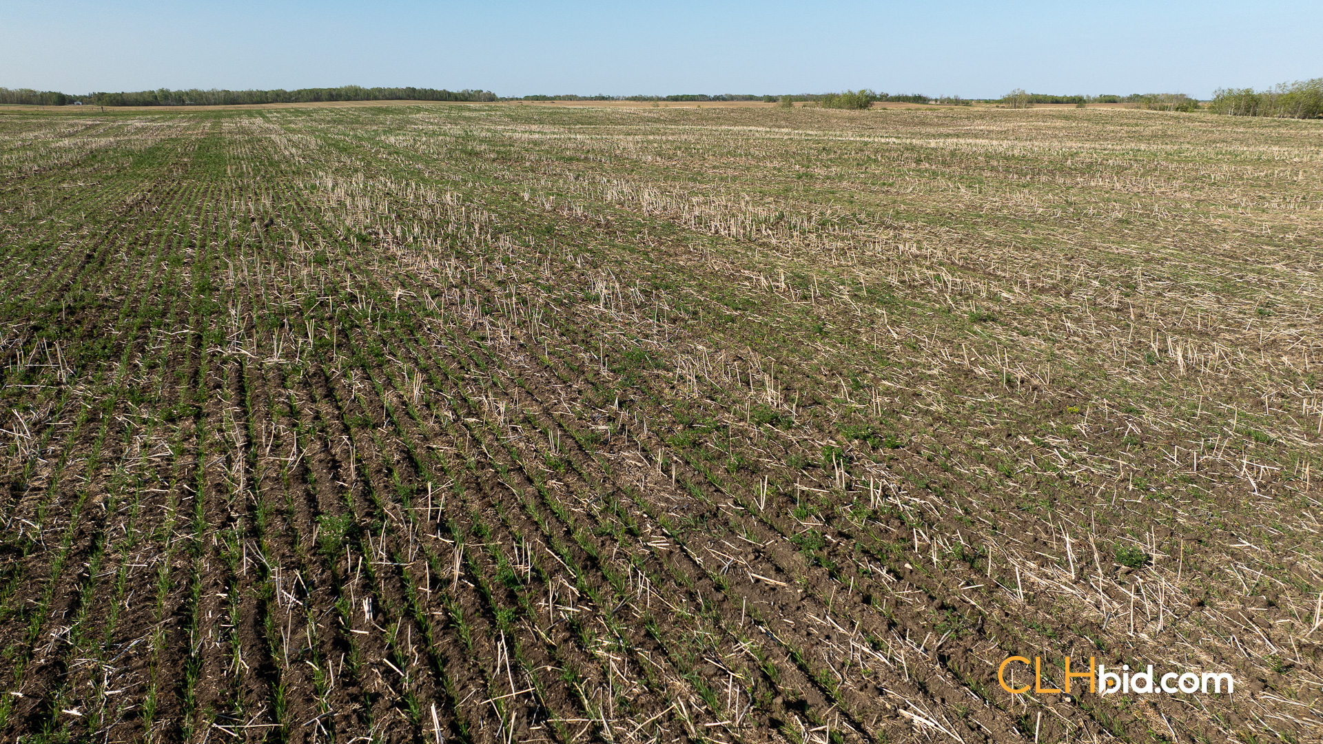 Web-AssiniboineRancher-43