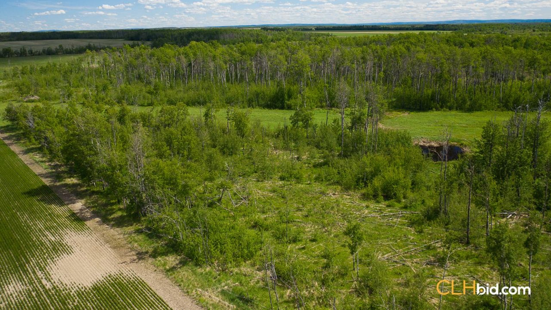 bigskymountainview-6-8