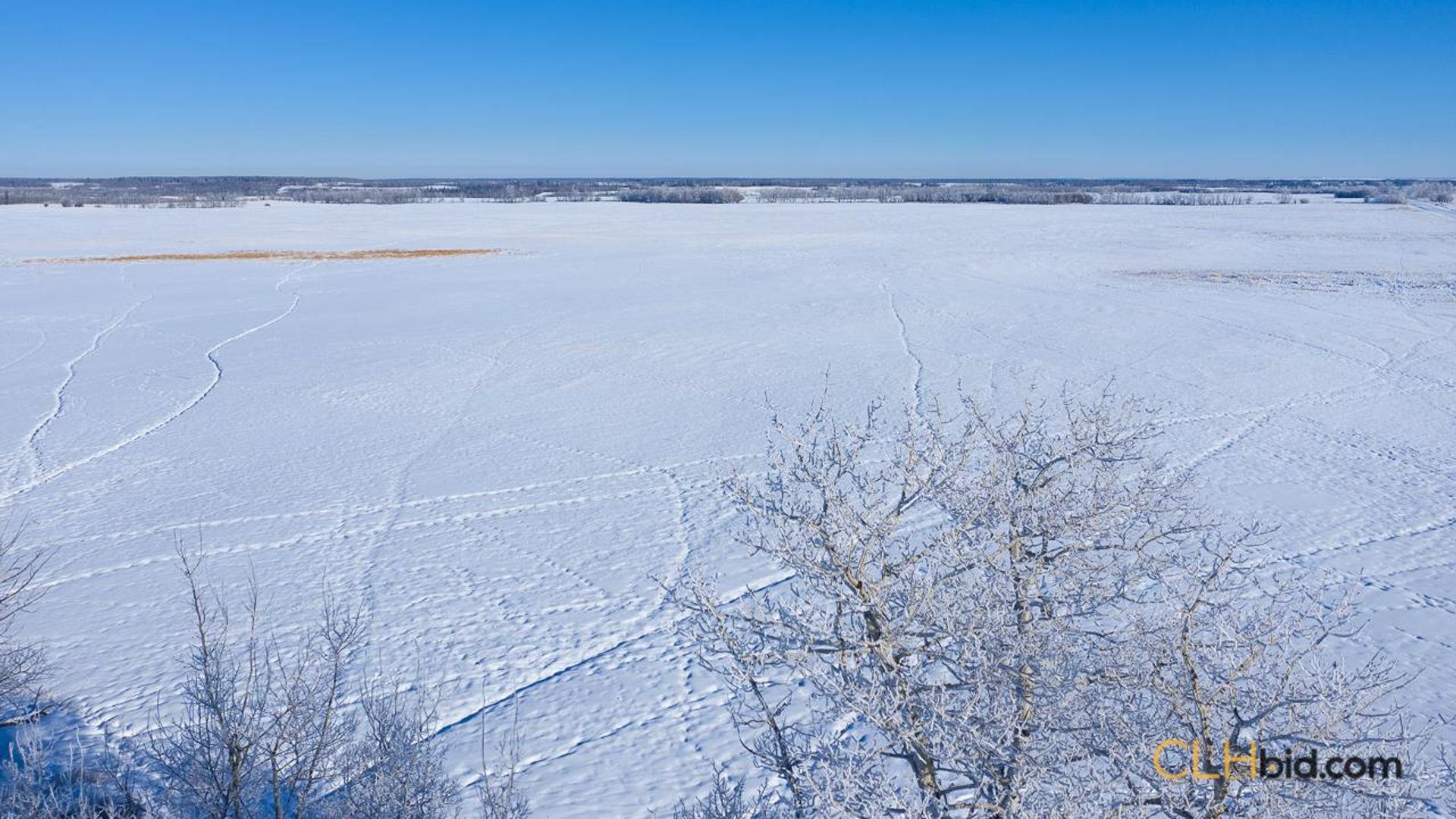 scotsmansdelight-1-4