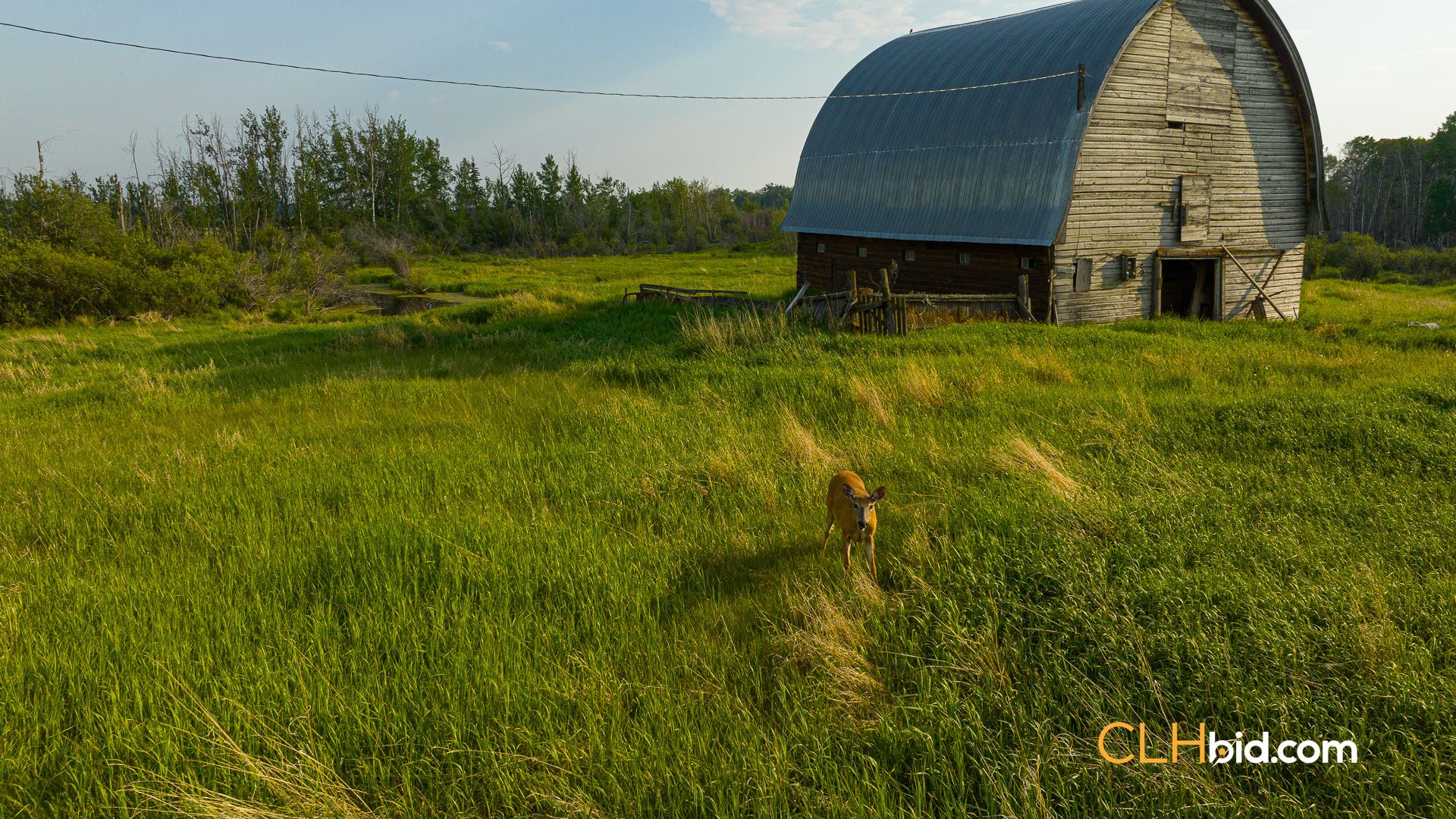 Web-WhitelawRoots-10