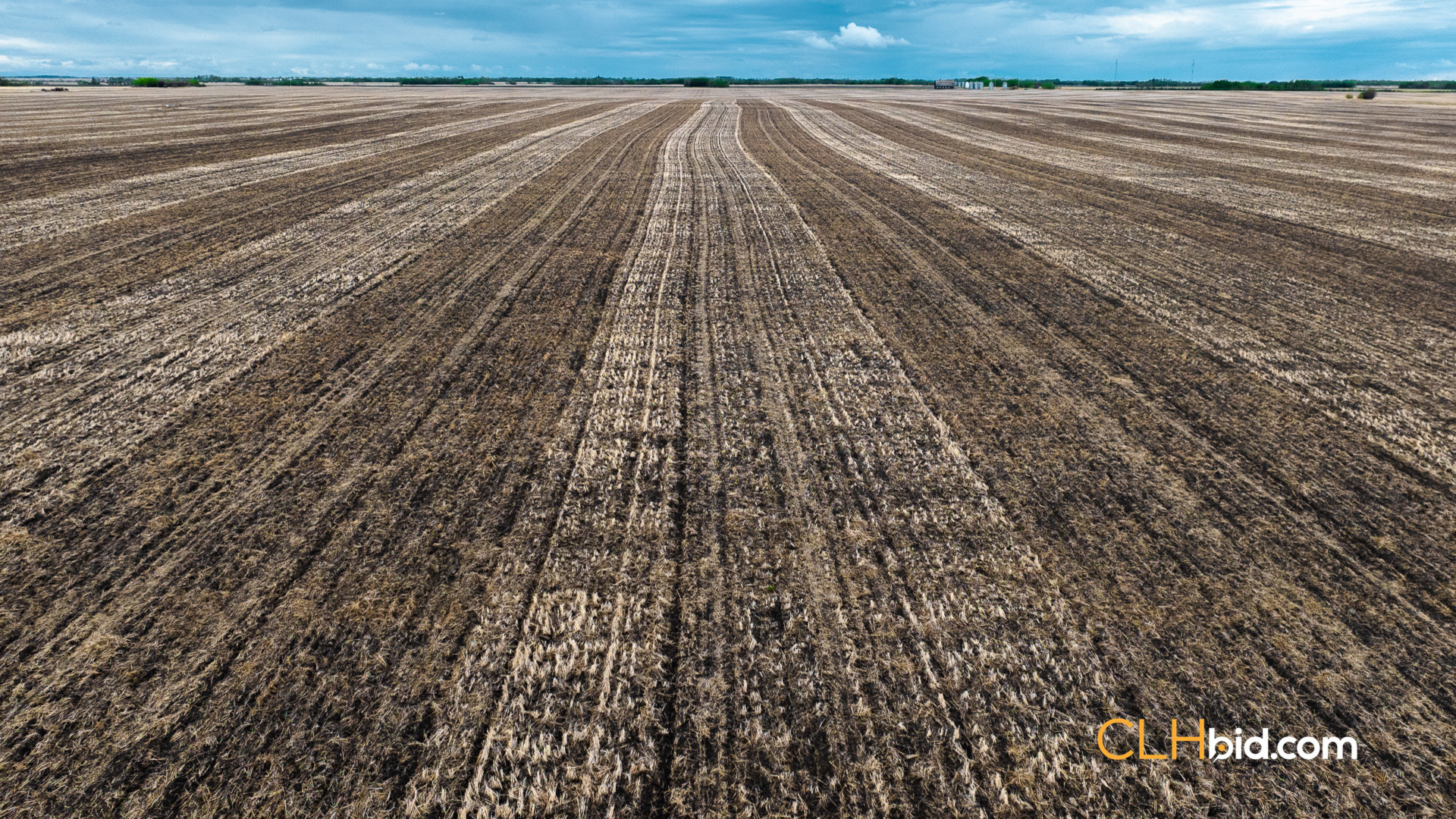 Web Brownvale Spring-4