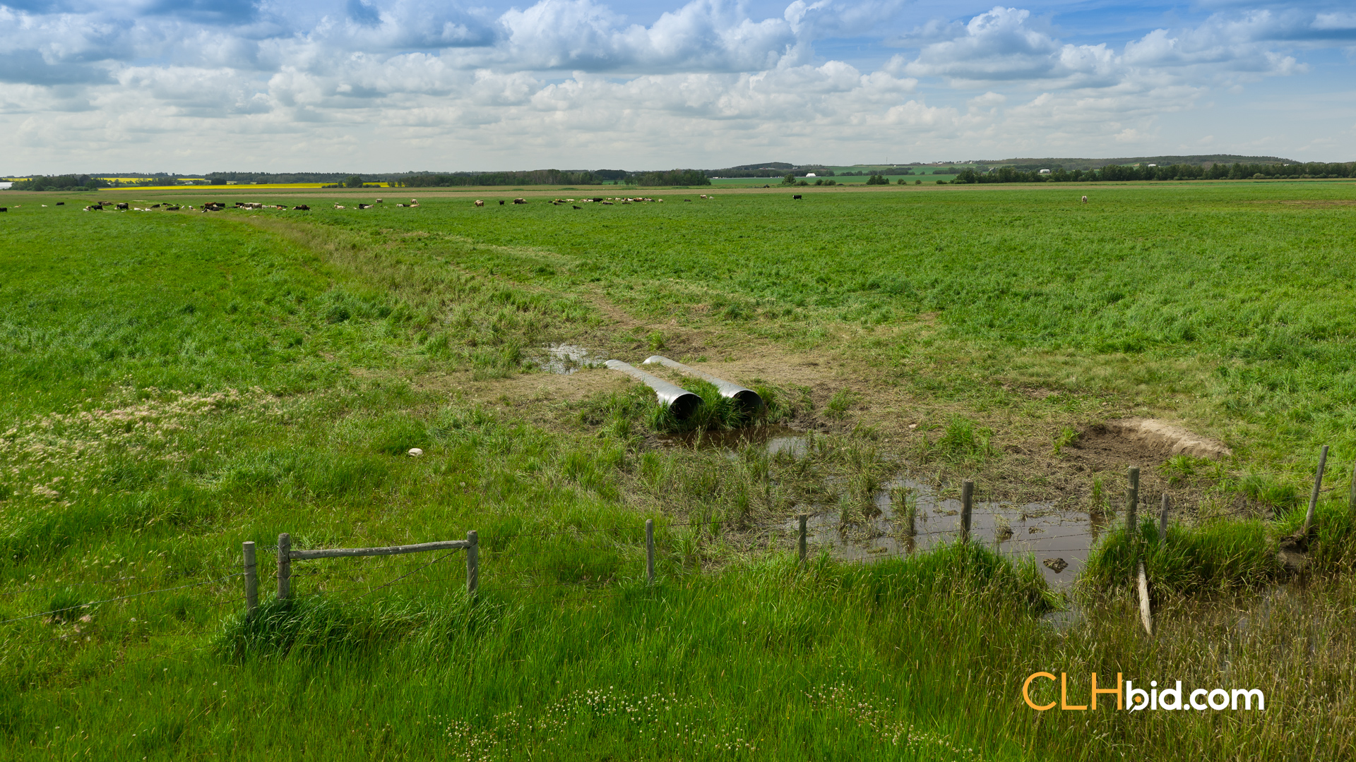 Web-SylvanLakeCountry-11