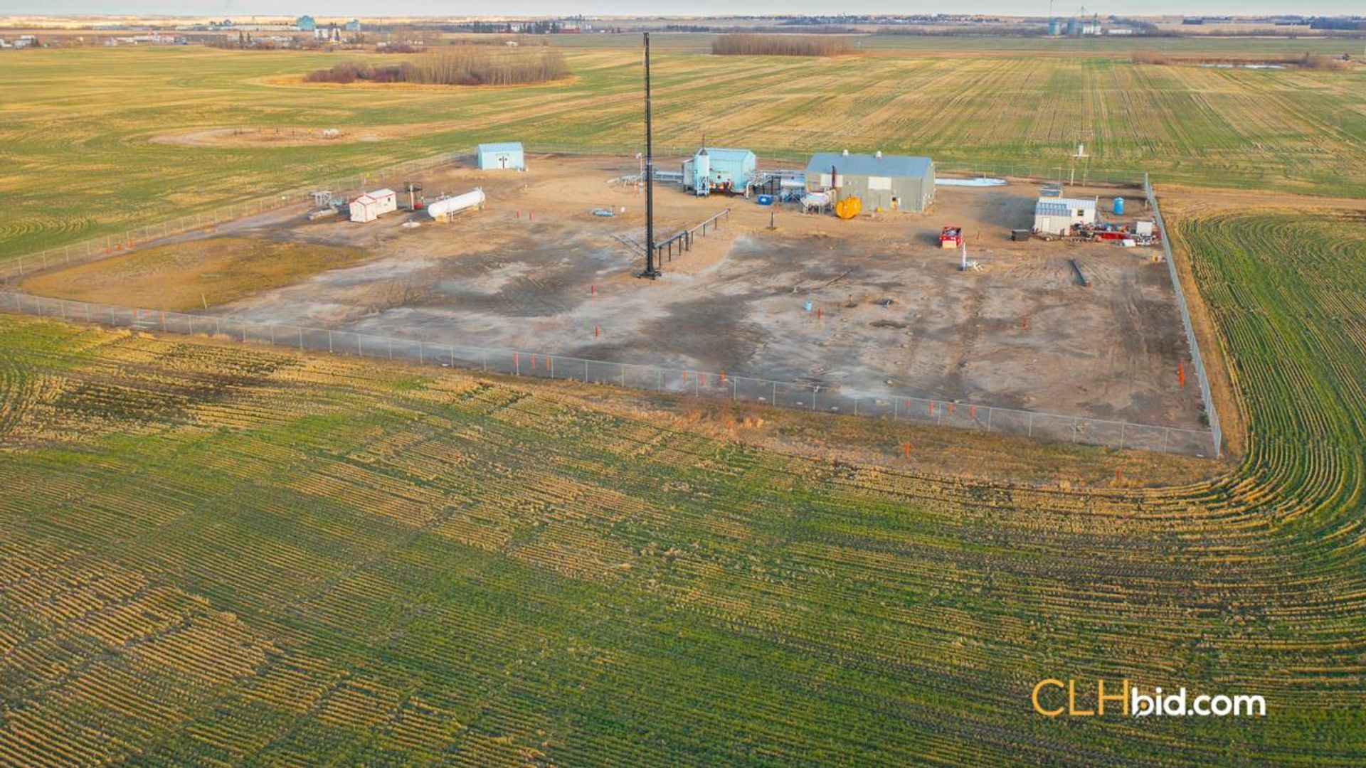 landyoursturgeon-2-4