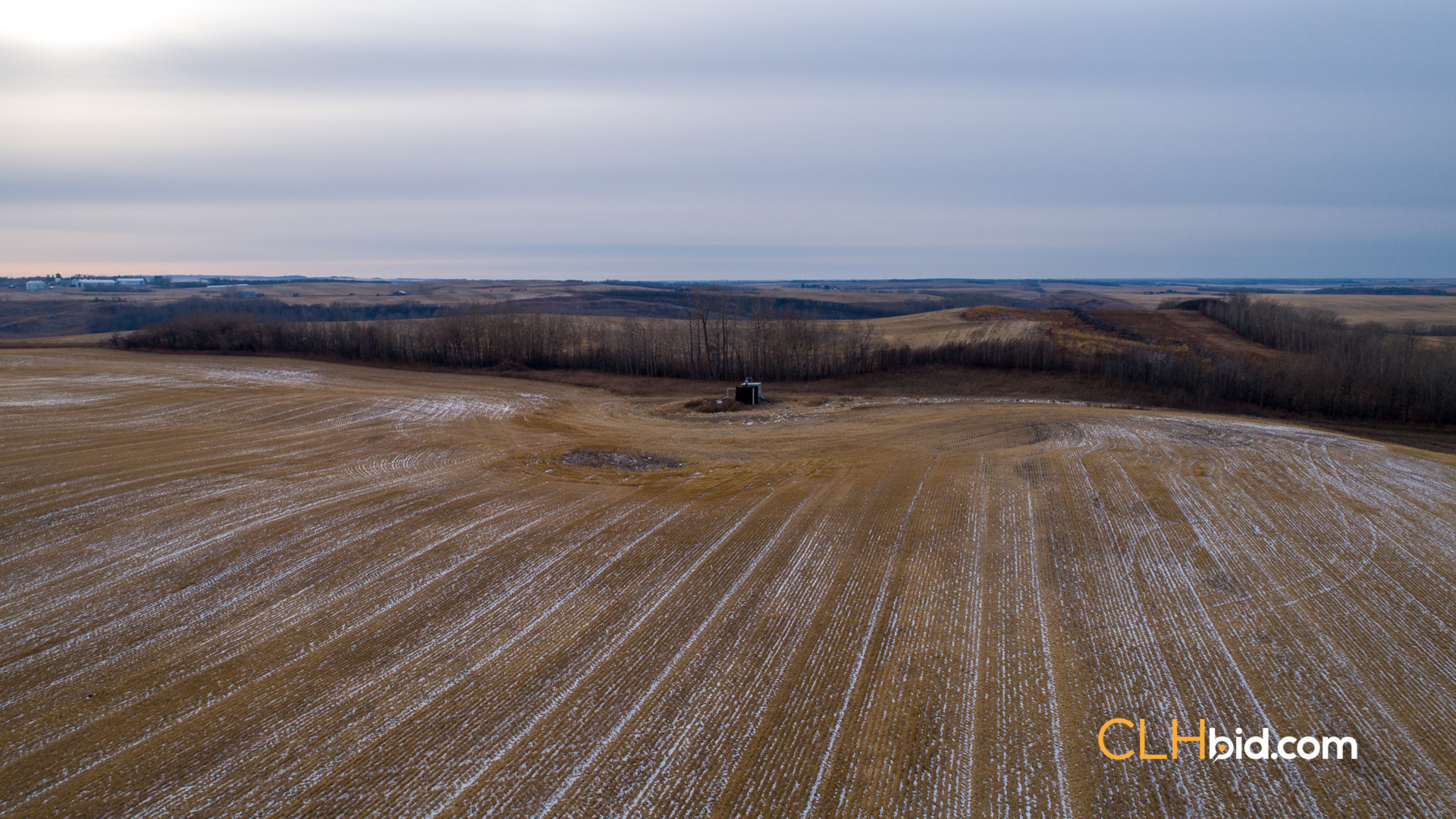 Web-Top-Shelf-160-14