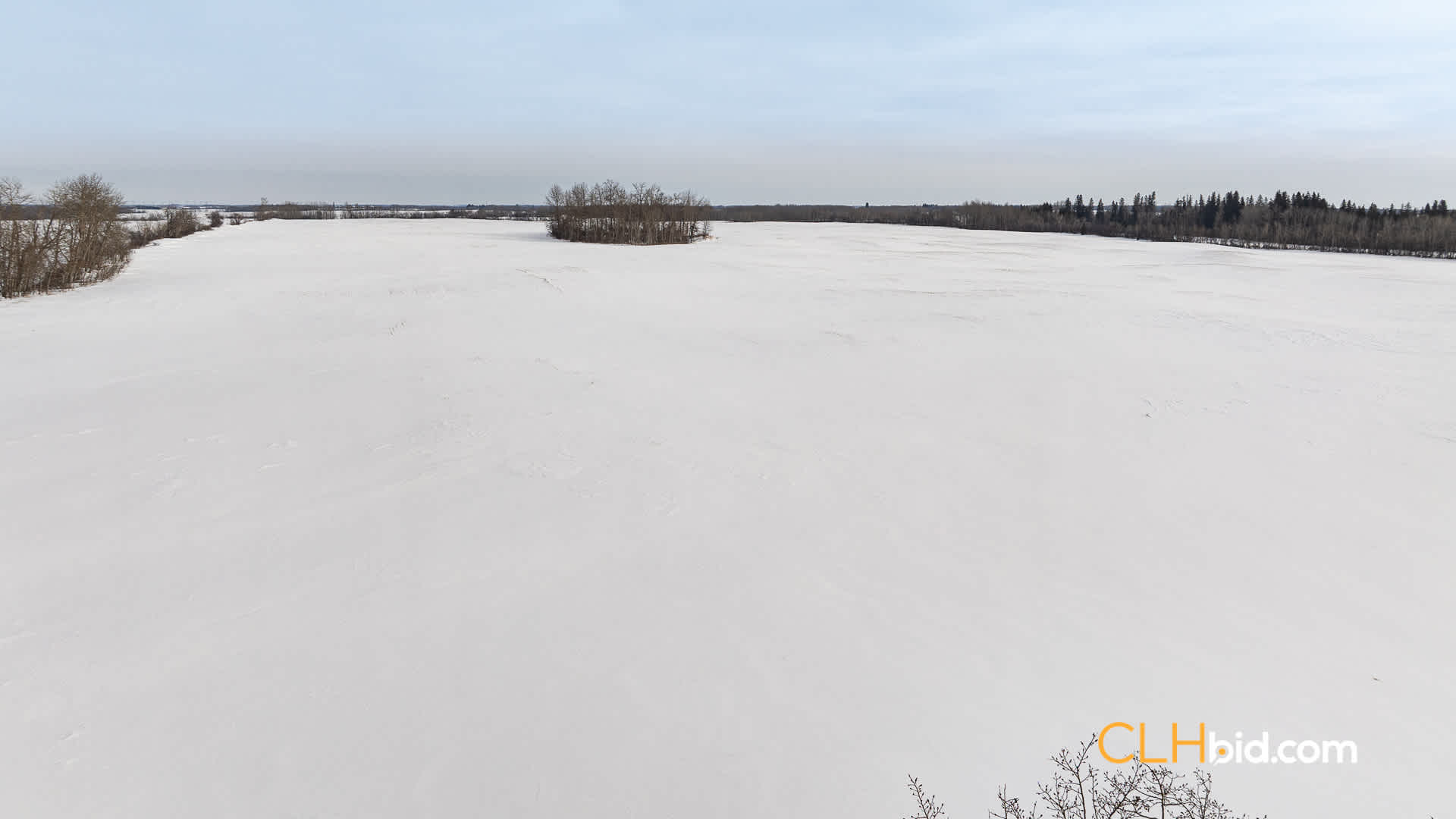 Web-LamontTopGrade-29