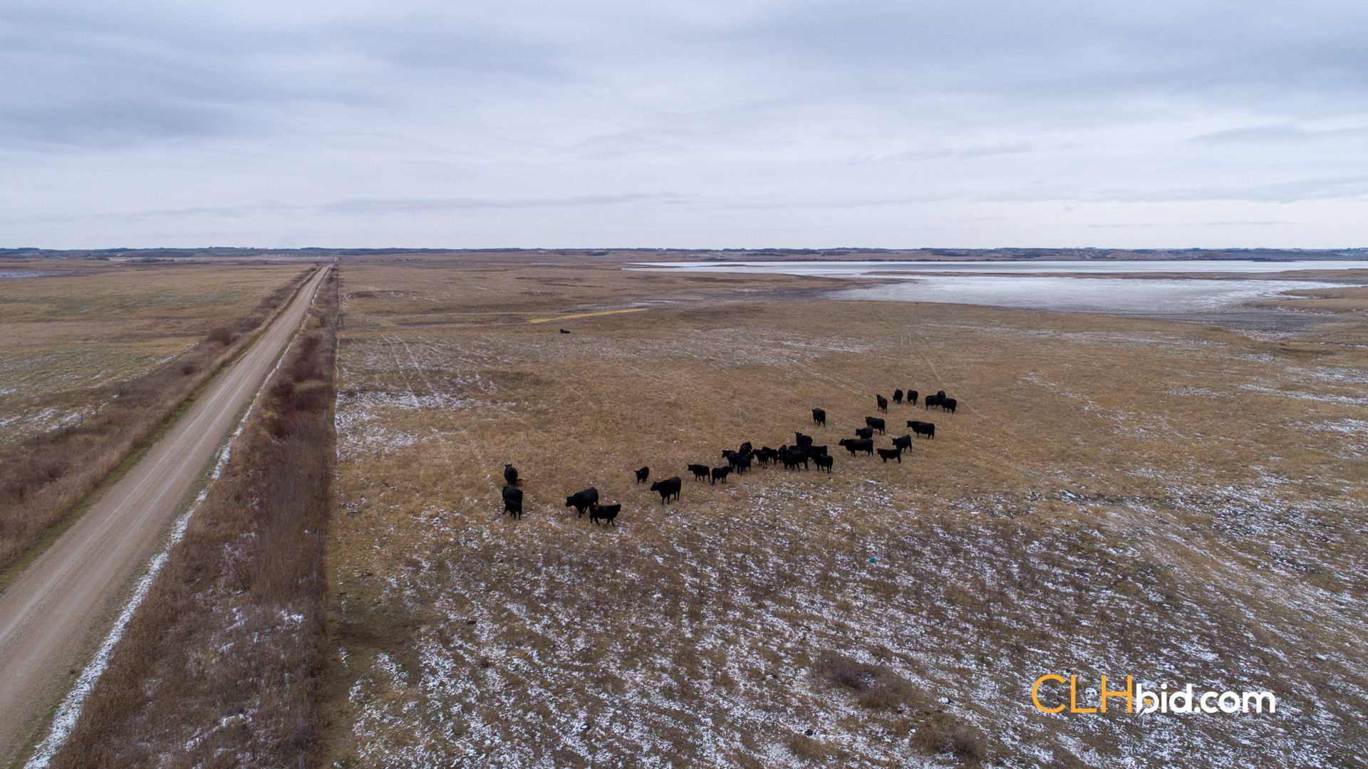 Web-Burke-Lake-Bonanza-3