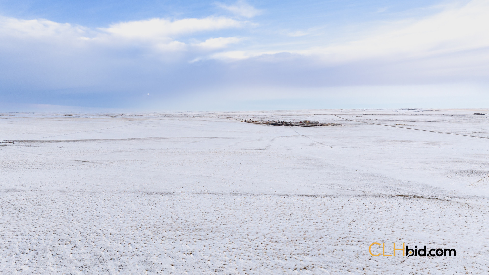 P2 Web169-AcresOfPedigree-9