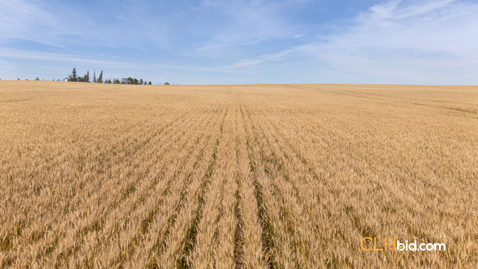 View from above of Vermilion Virtuous