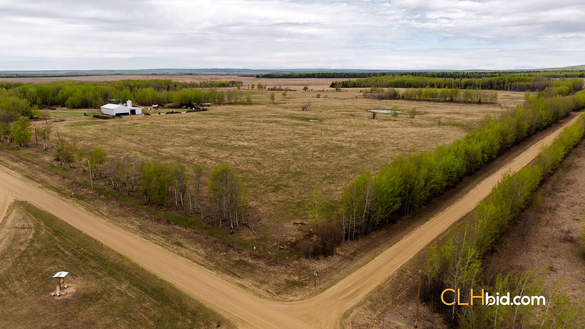 Web Deer Hill Homer Spring-1