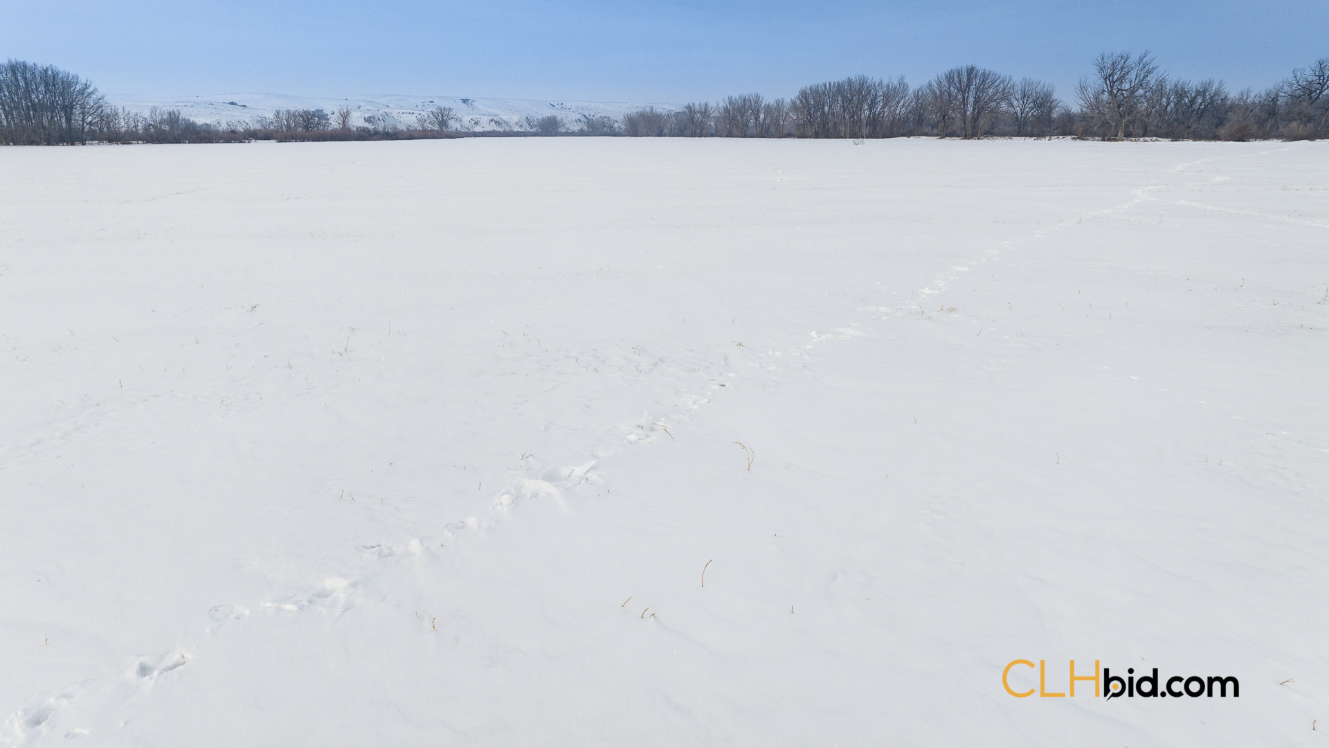 P1 Web169-AcresOfPedigree-64