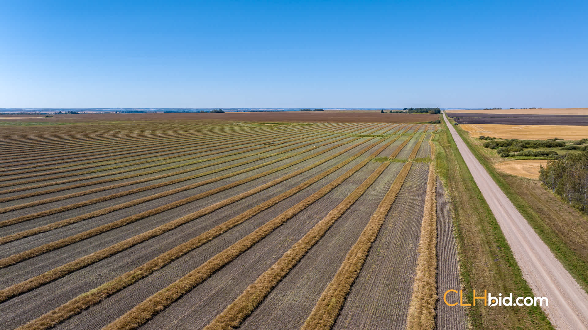 View from above of Tisdale Titan