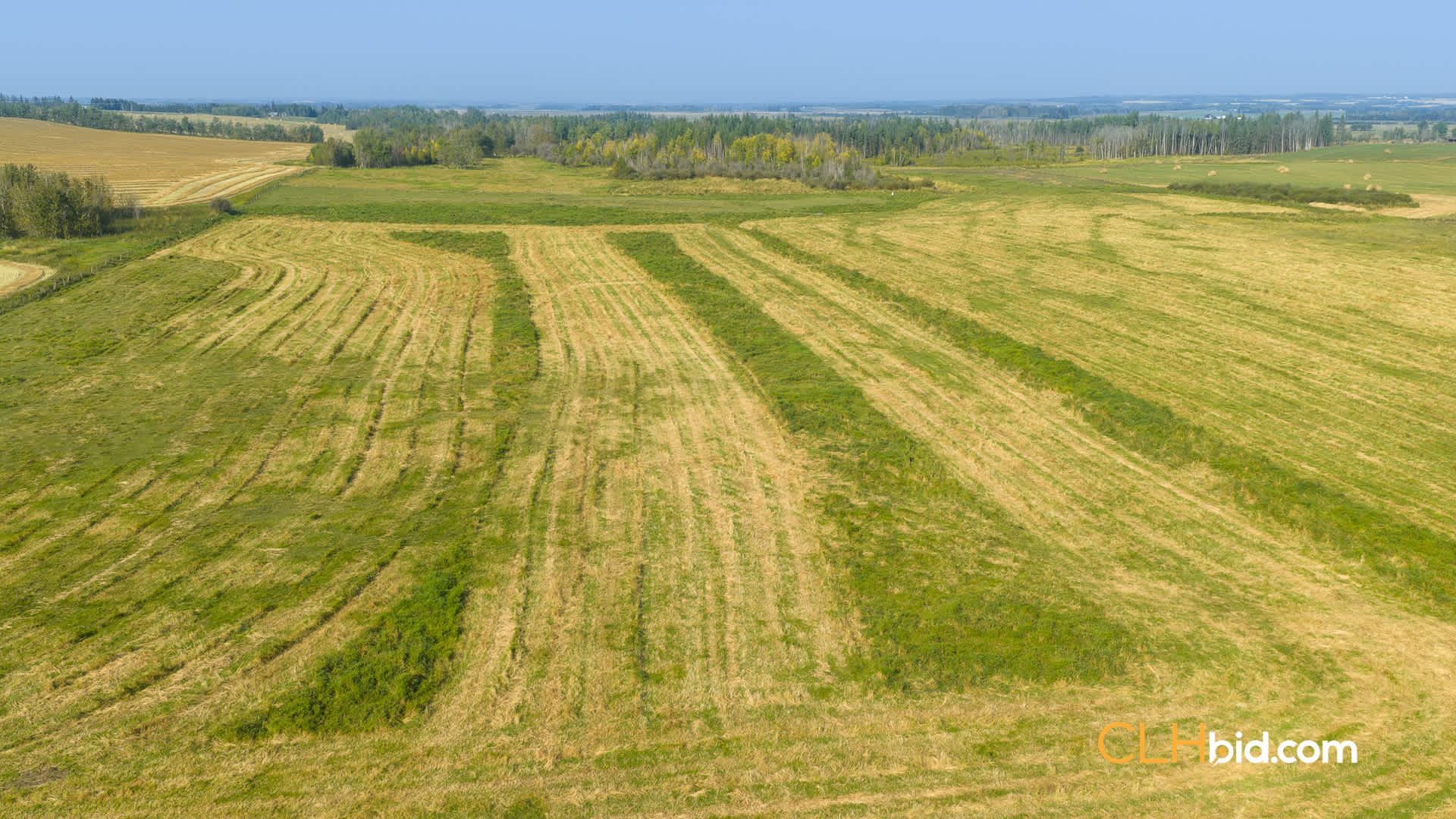 Web-Homestead Horizon-12