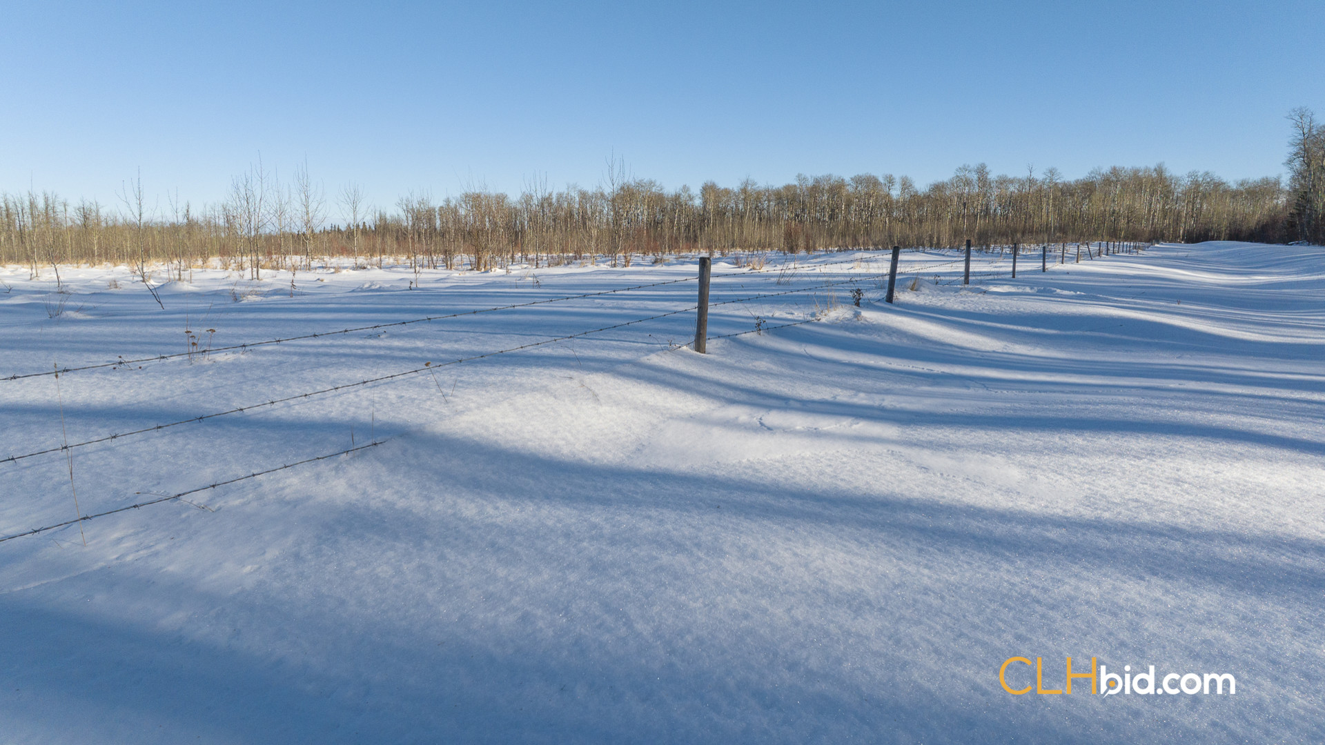 SummerCowCamp-WebWide-9