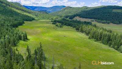 Farm Life, Okanagan Lifestyle