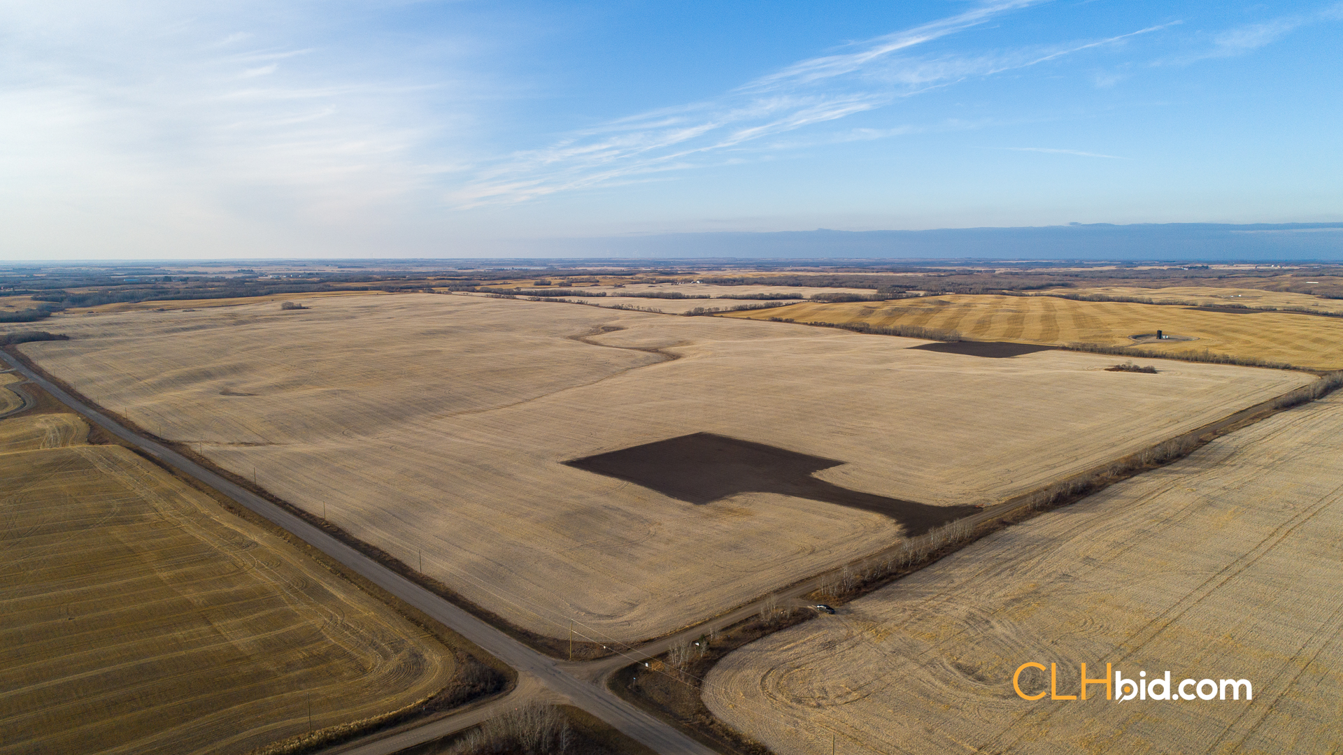 Web-Nine-Of-Diamonds-29