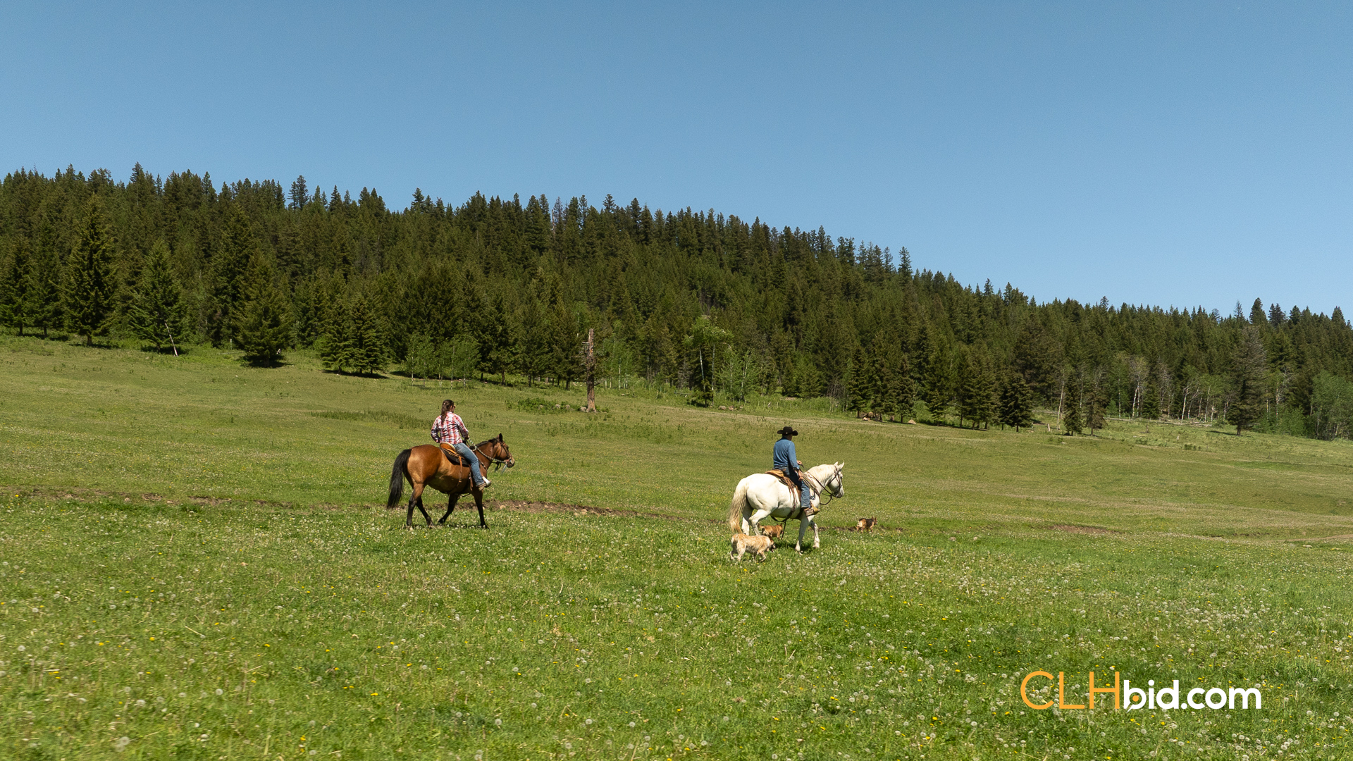 Web-CrystalWatersRanch-3