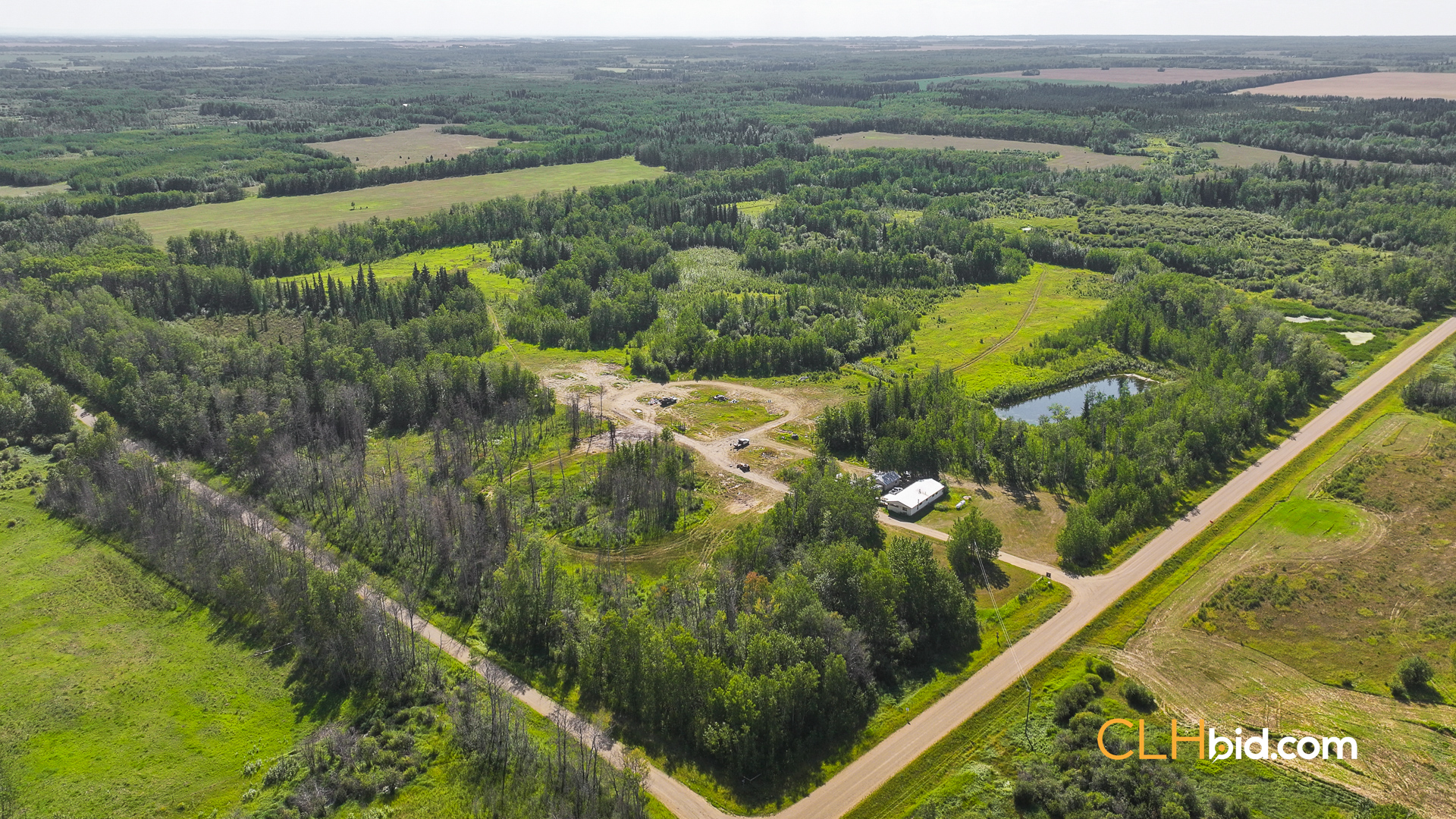 Web Talking Trees 14