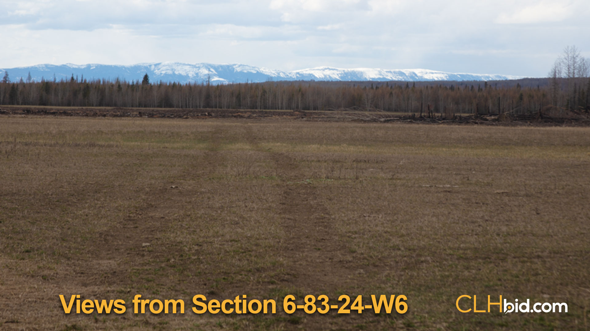 8146views-from-section-6