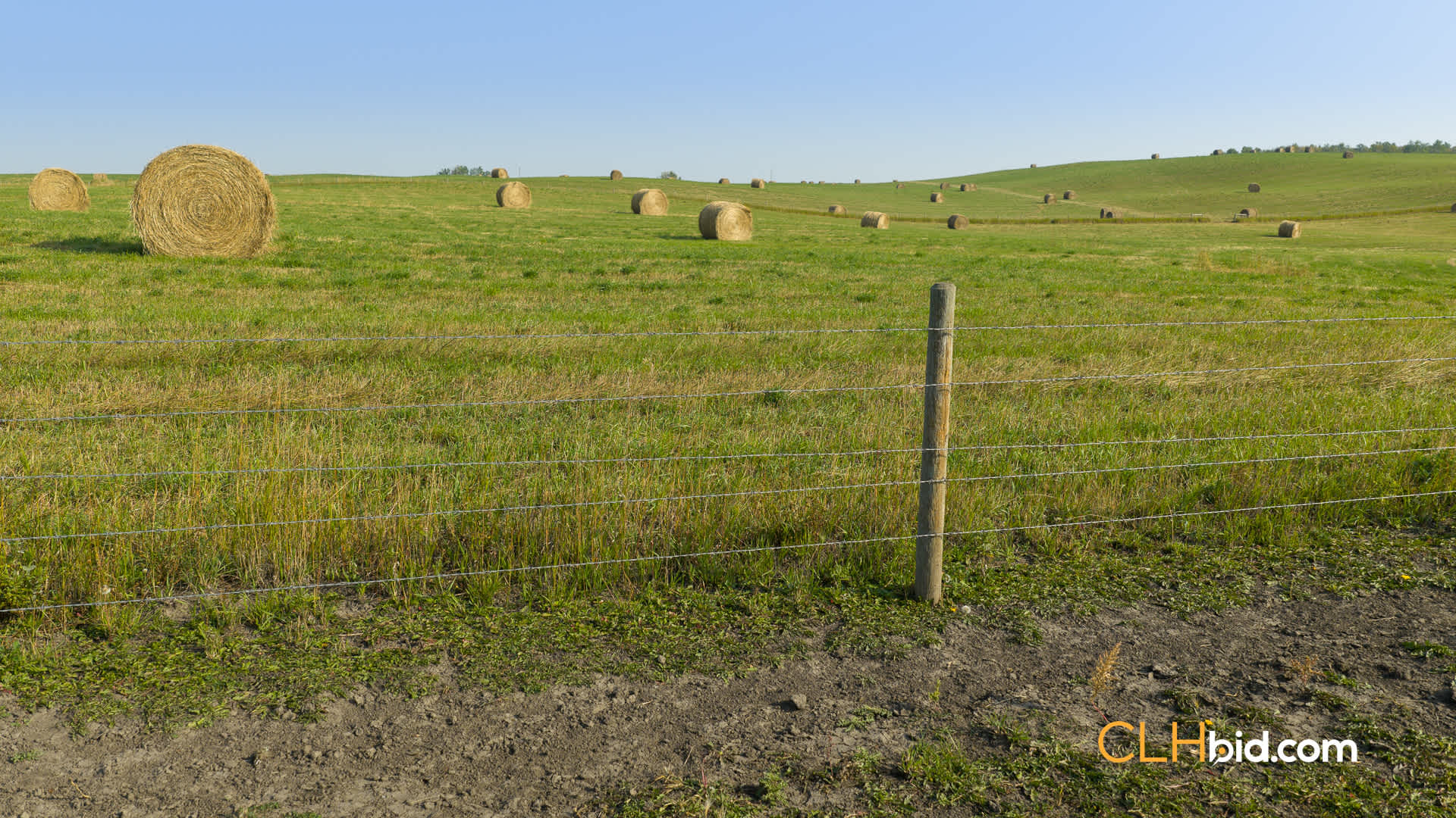 Web-Homestead Horizon-4