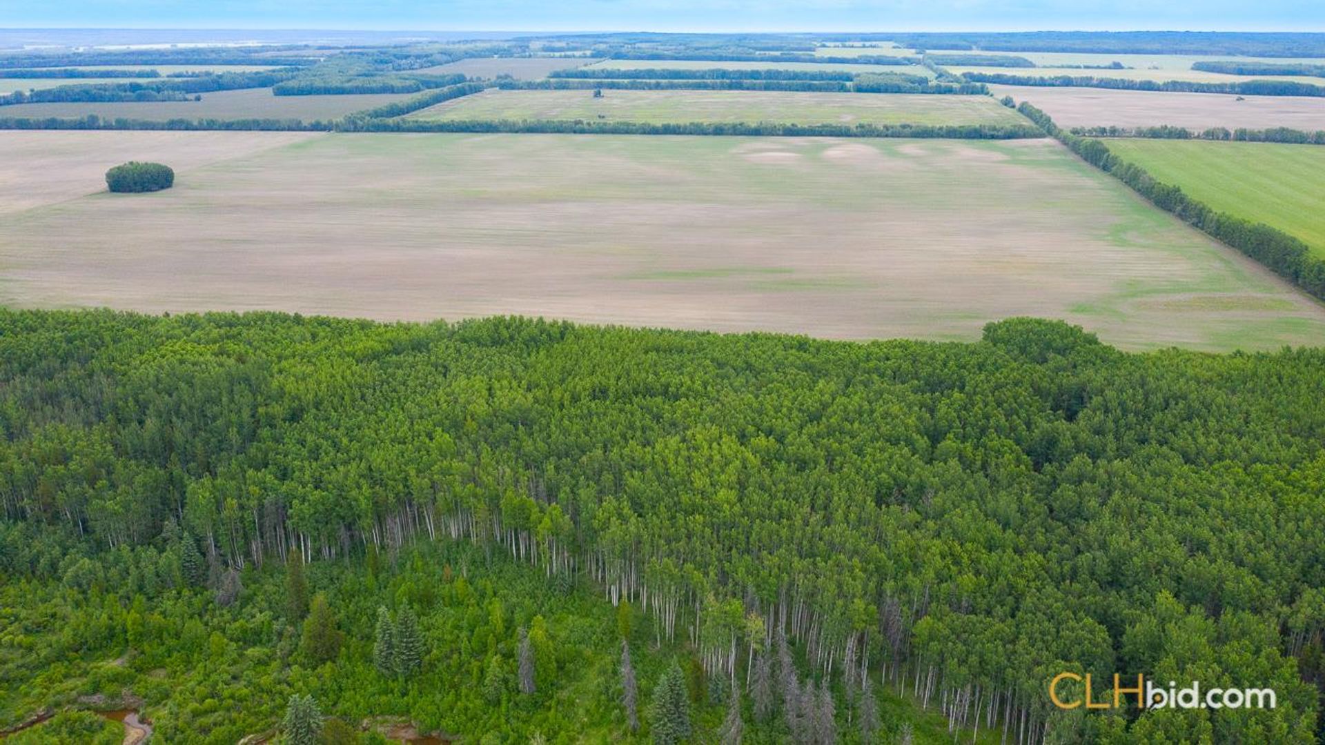 alcescreekhighland-1-3