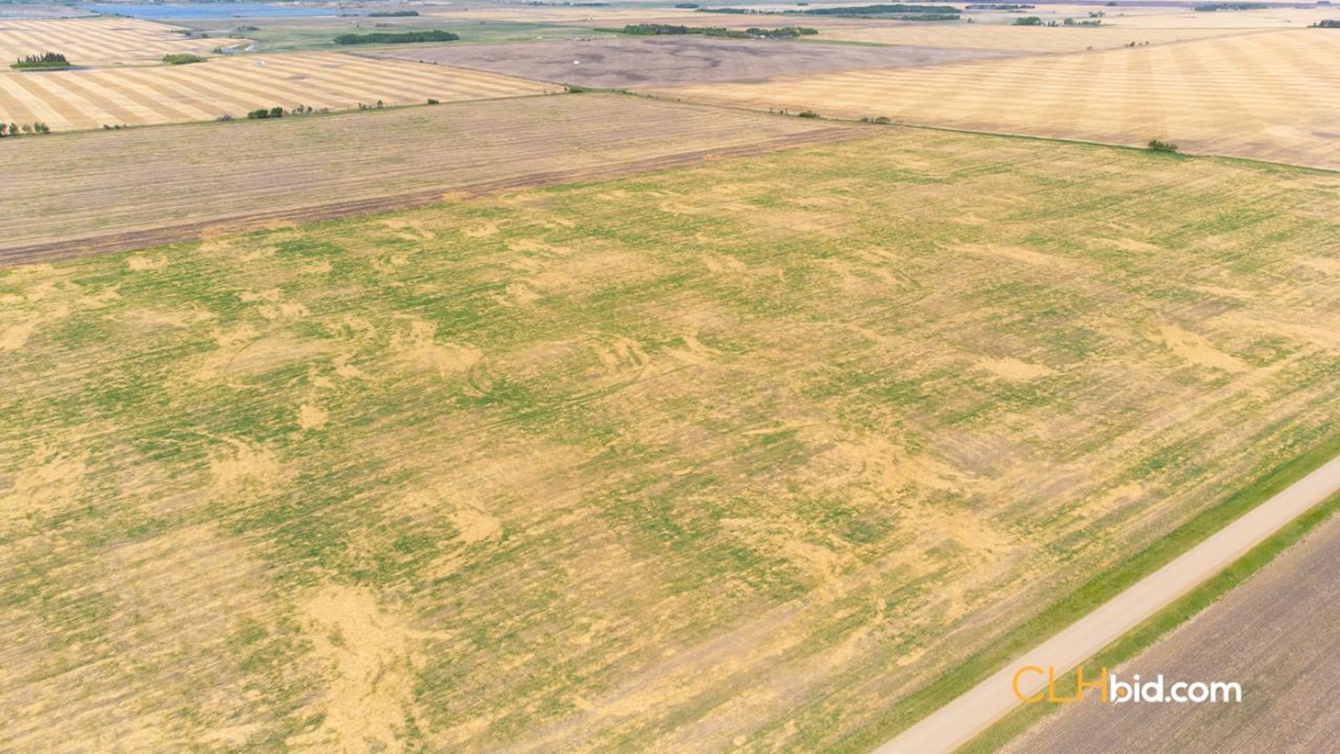 thelongmilevegreville-1-8