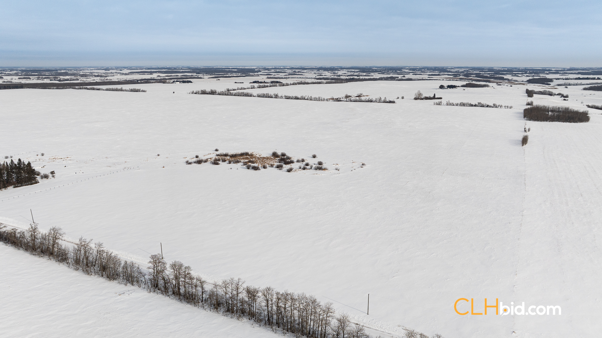 Web-LamontTopGrade-15