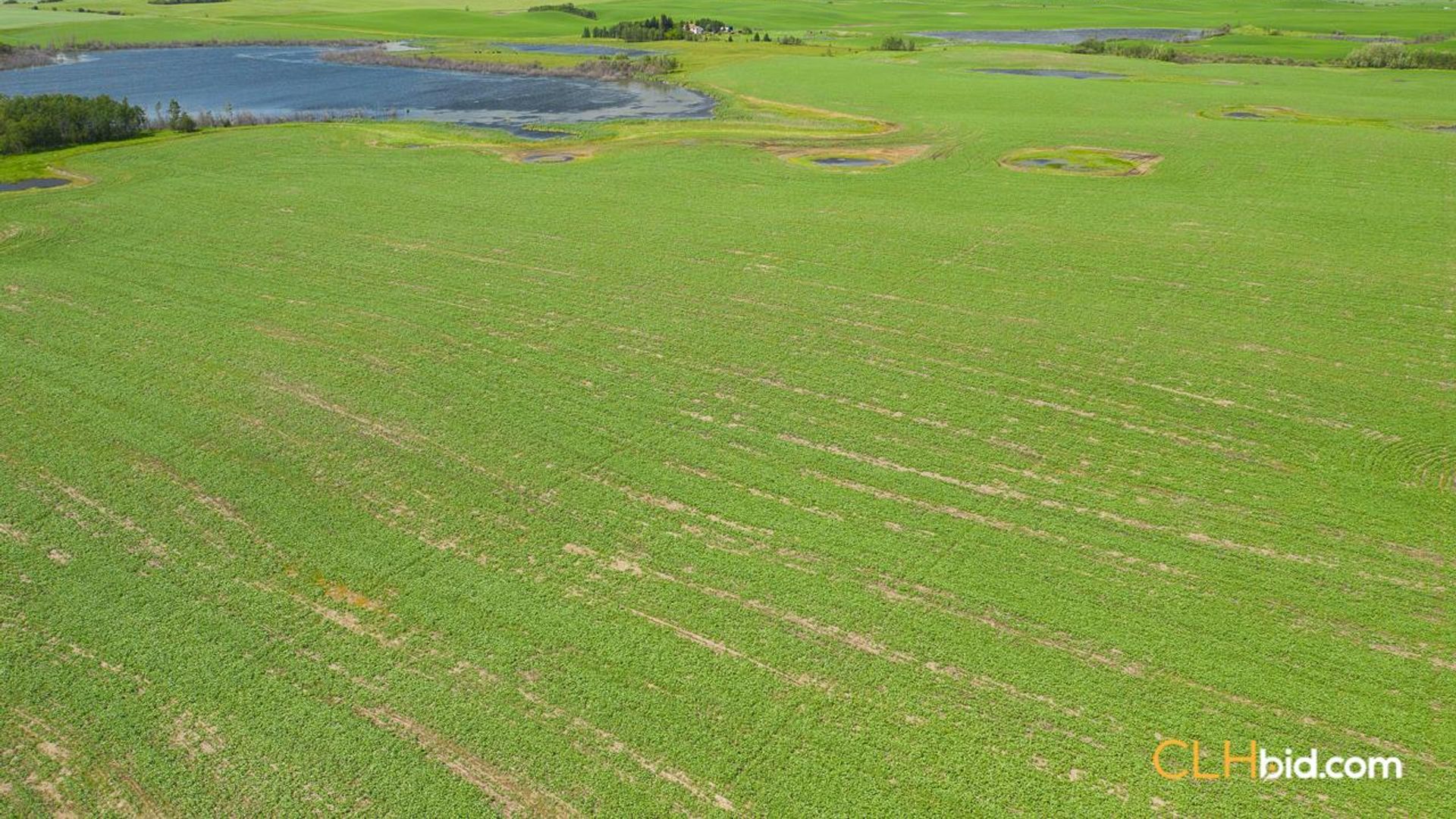 clandonaldcountrycousins-1-4