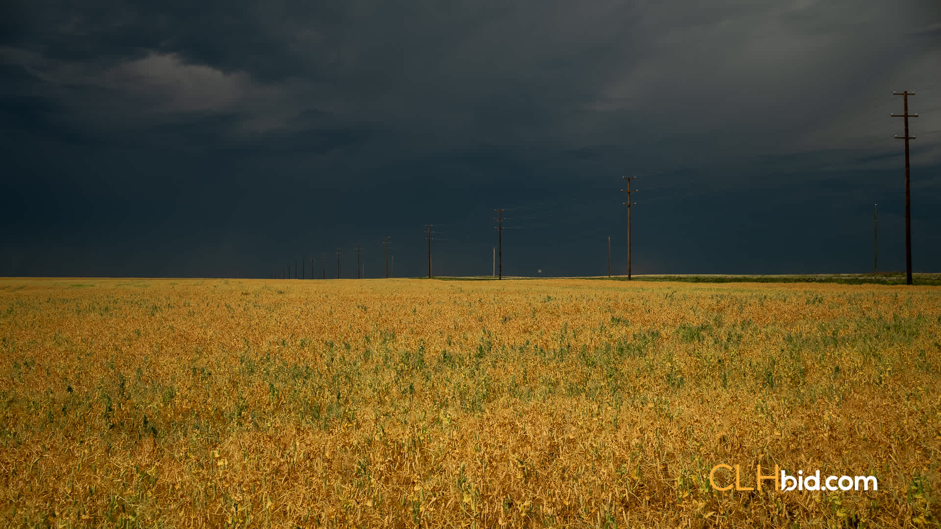 Web Skyline-55