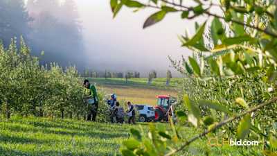 The Olive Farm - Parcel 1