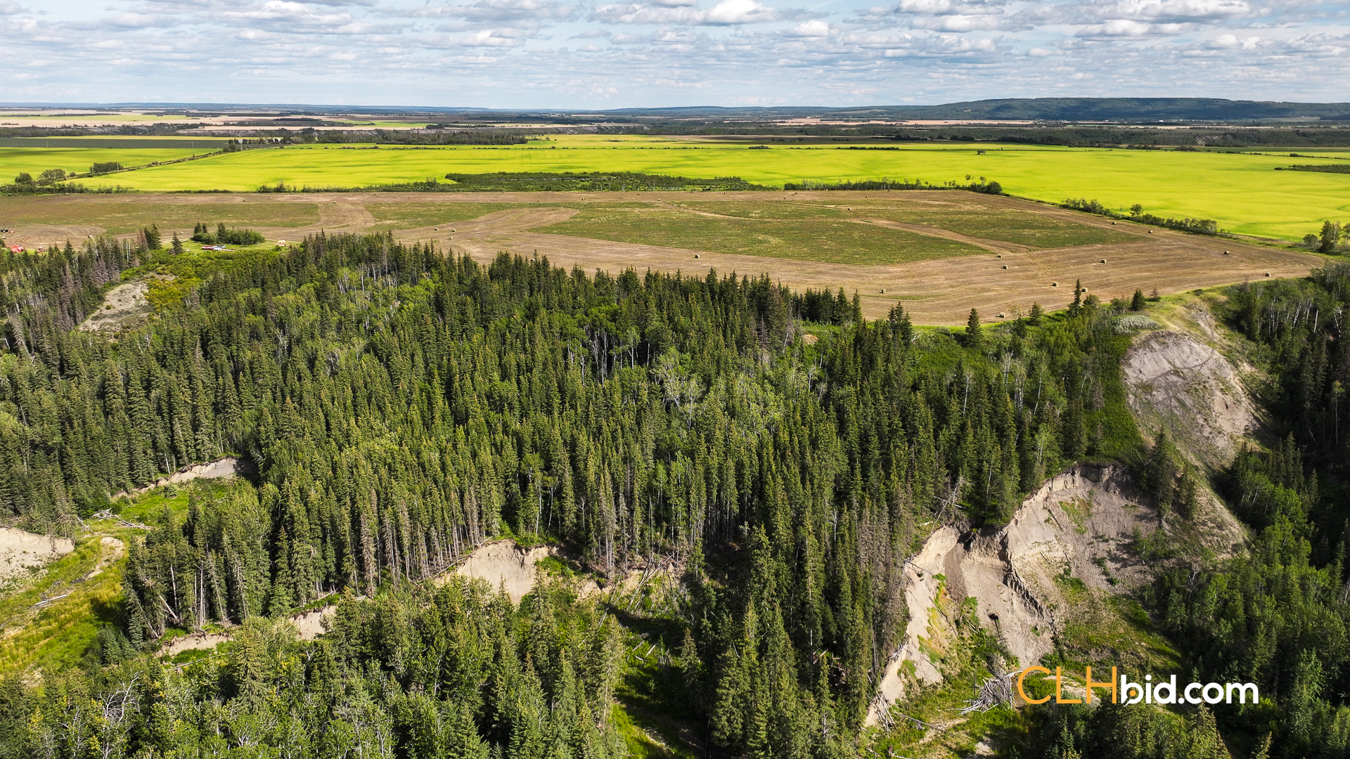 Web Ronald Koistinen-10