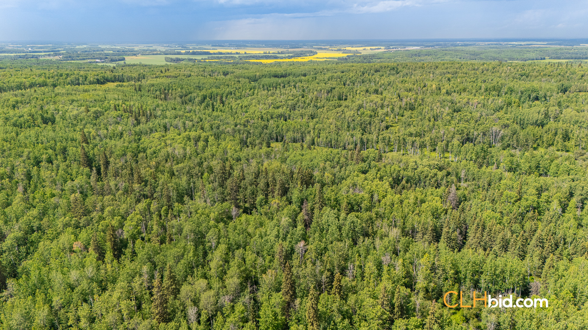 Web-Barrhead3Timer-12