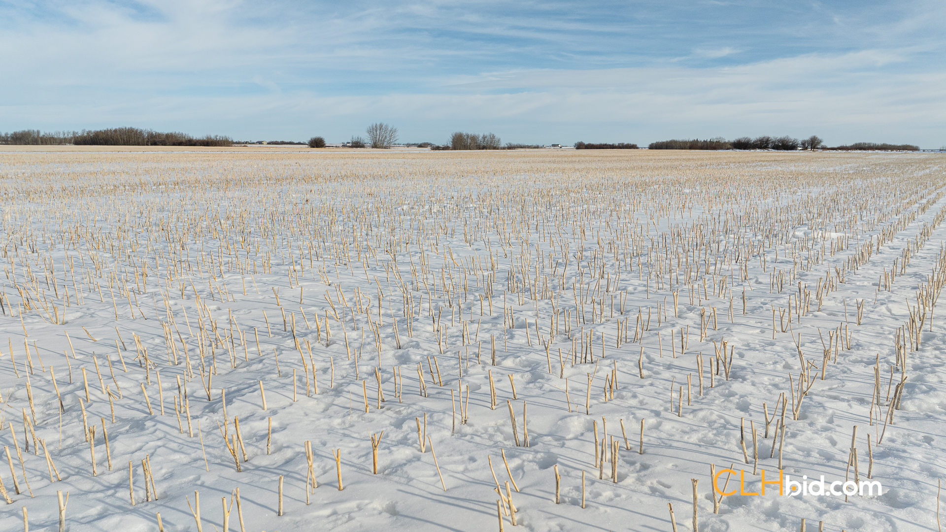 Web-TripleHorsepower-20