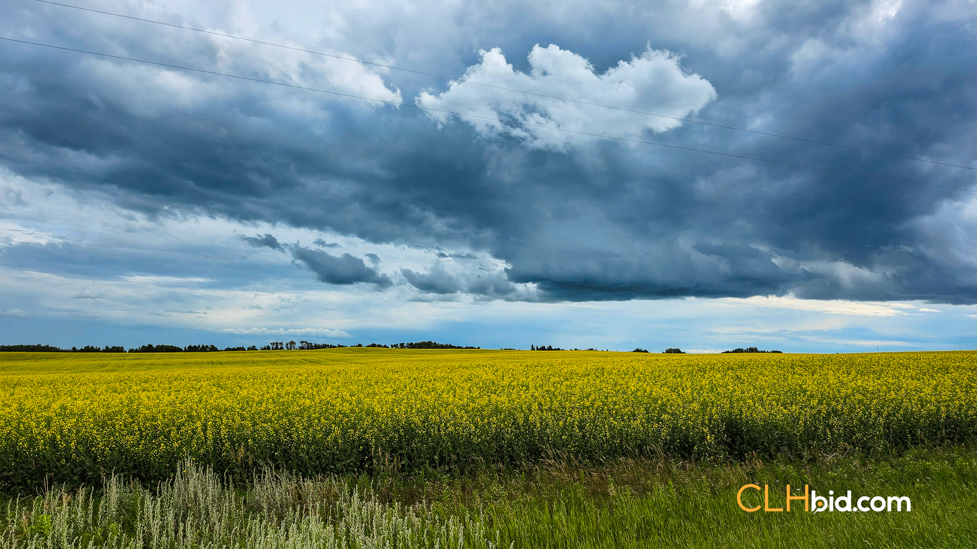 View from above of Happy Acres
