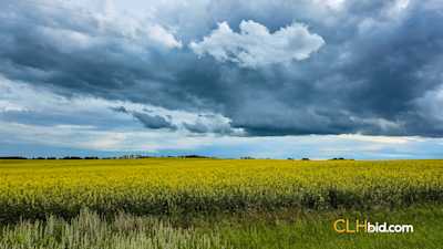 Happy Acres