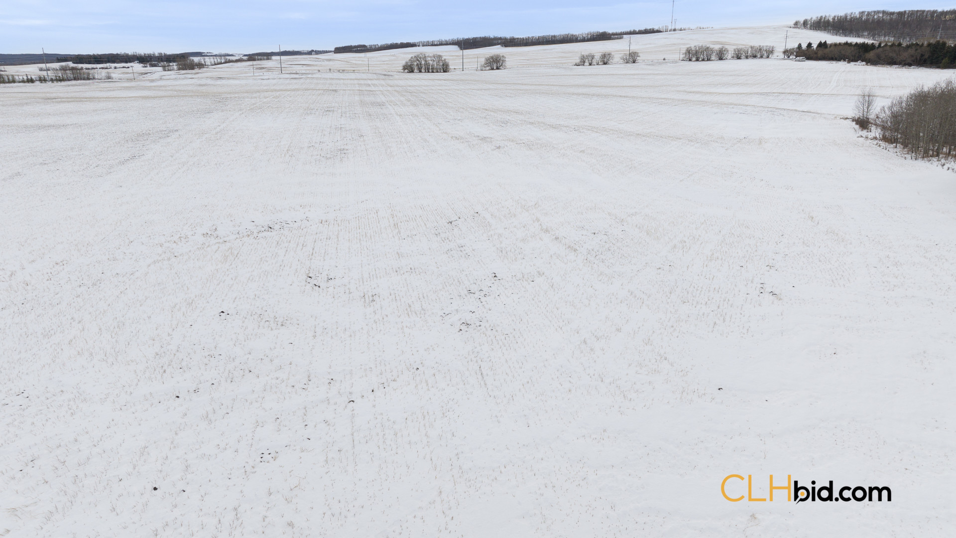 EliteStatus3-Web169-4