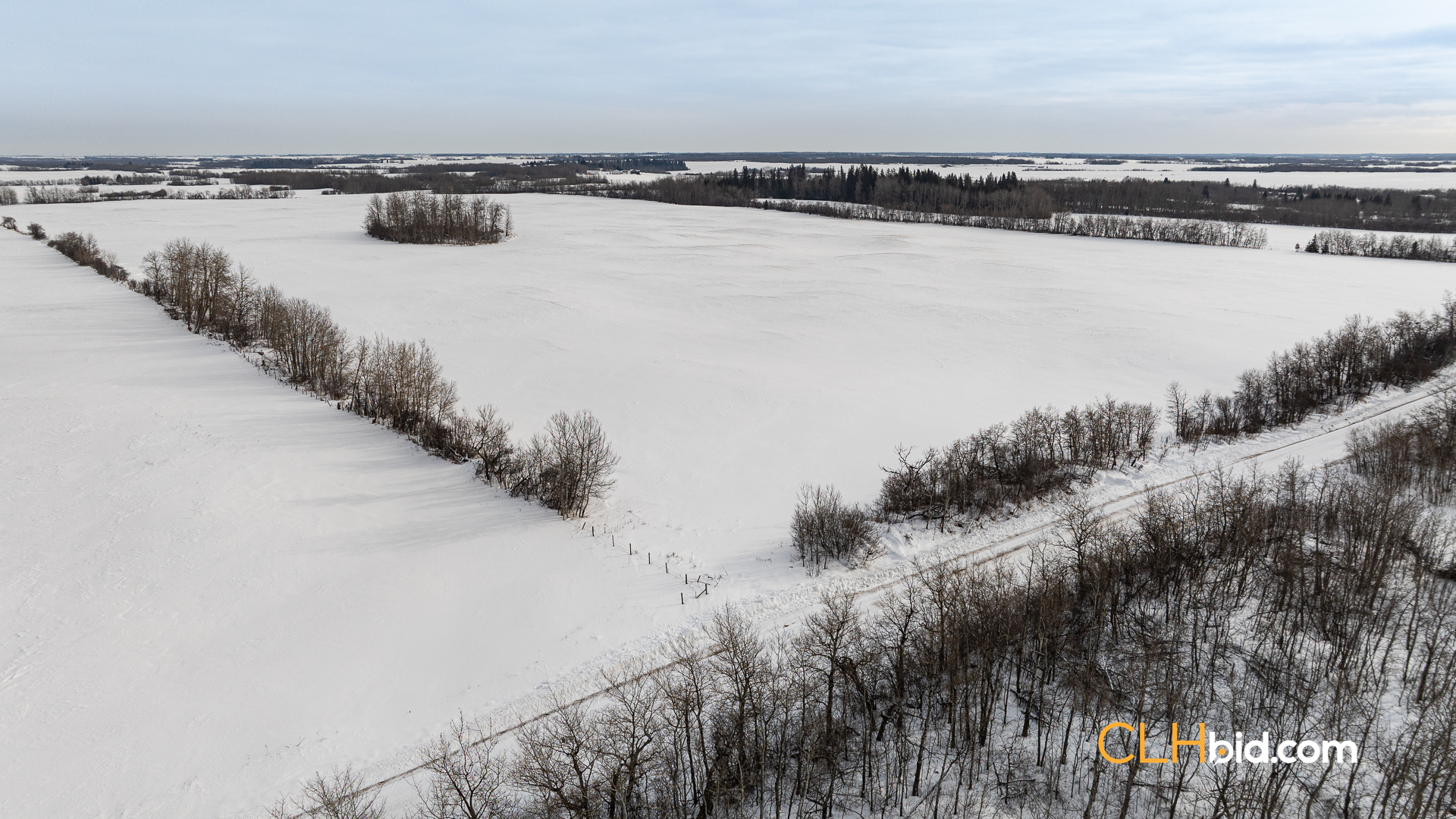 Web-LamontTopGrade-27